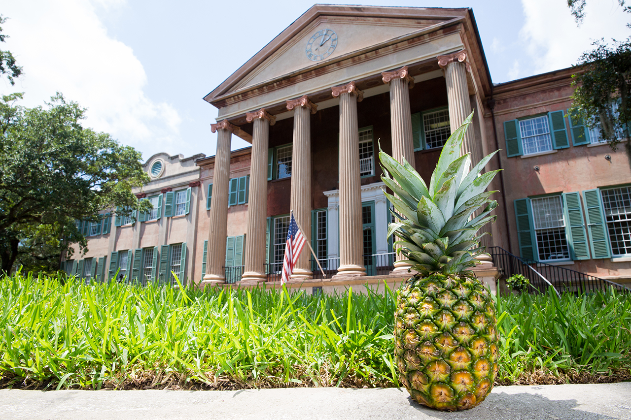 pineapple in grass in front of building