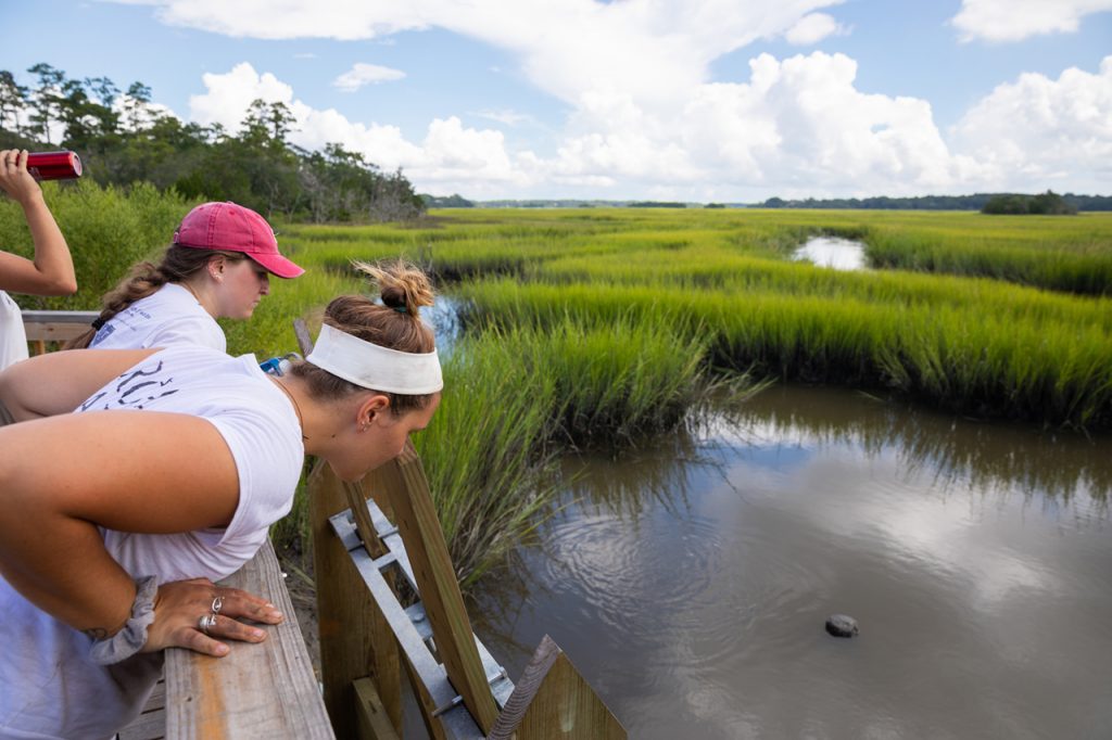 Students look out on marshlands at Stono Preserve.