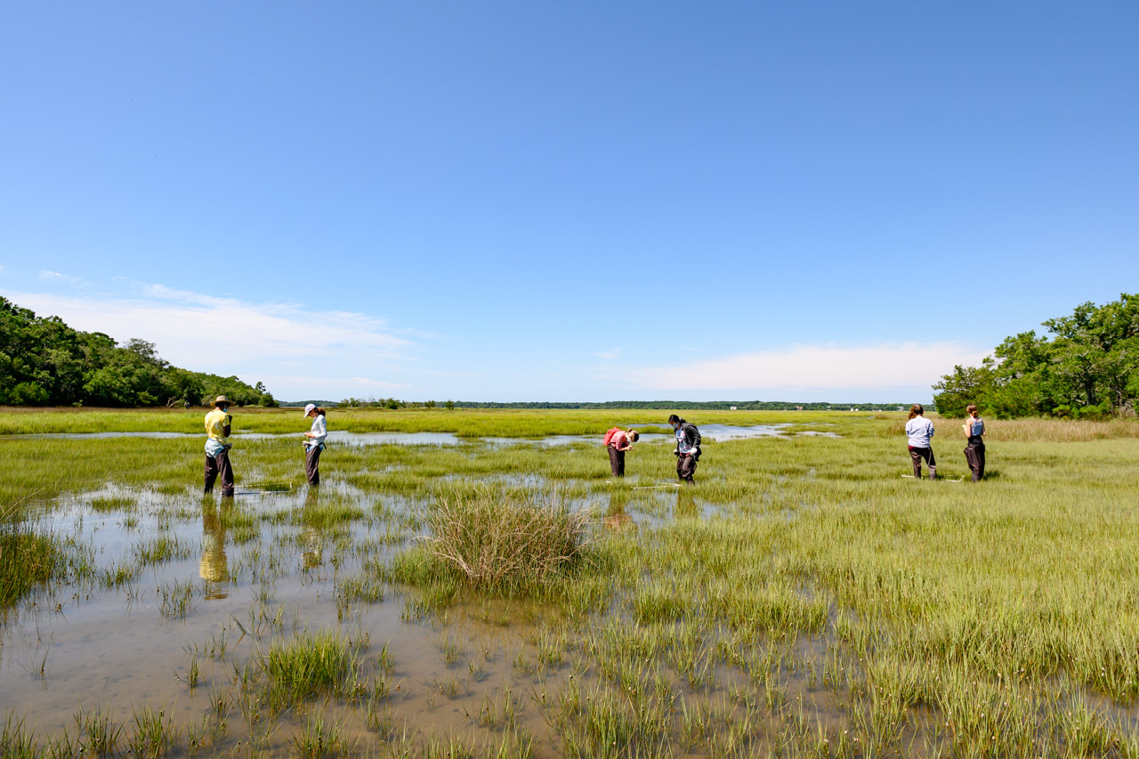 Honors College Summer Institute's pre-college Saving Biodiversity in the Anthropocene with visiting Professor Chris Freeman