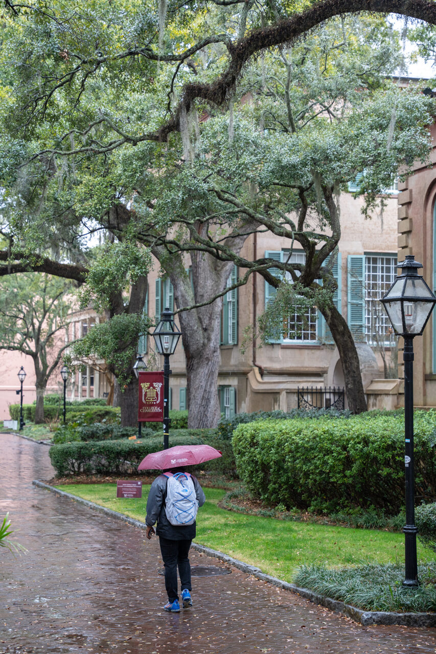 student with cofc umbrella walks through campus 