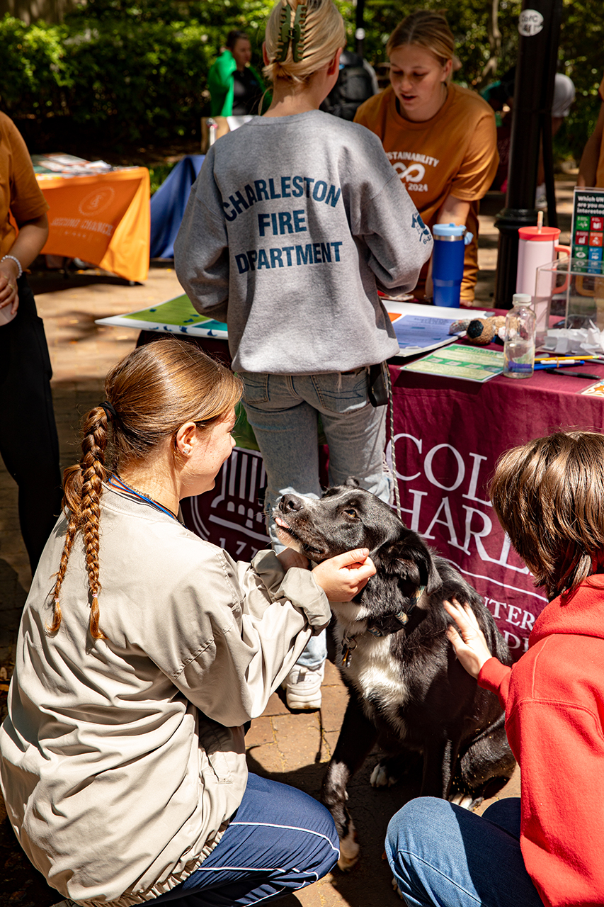 dog love at Sustainability Fair 