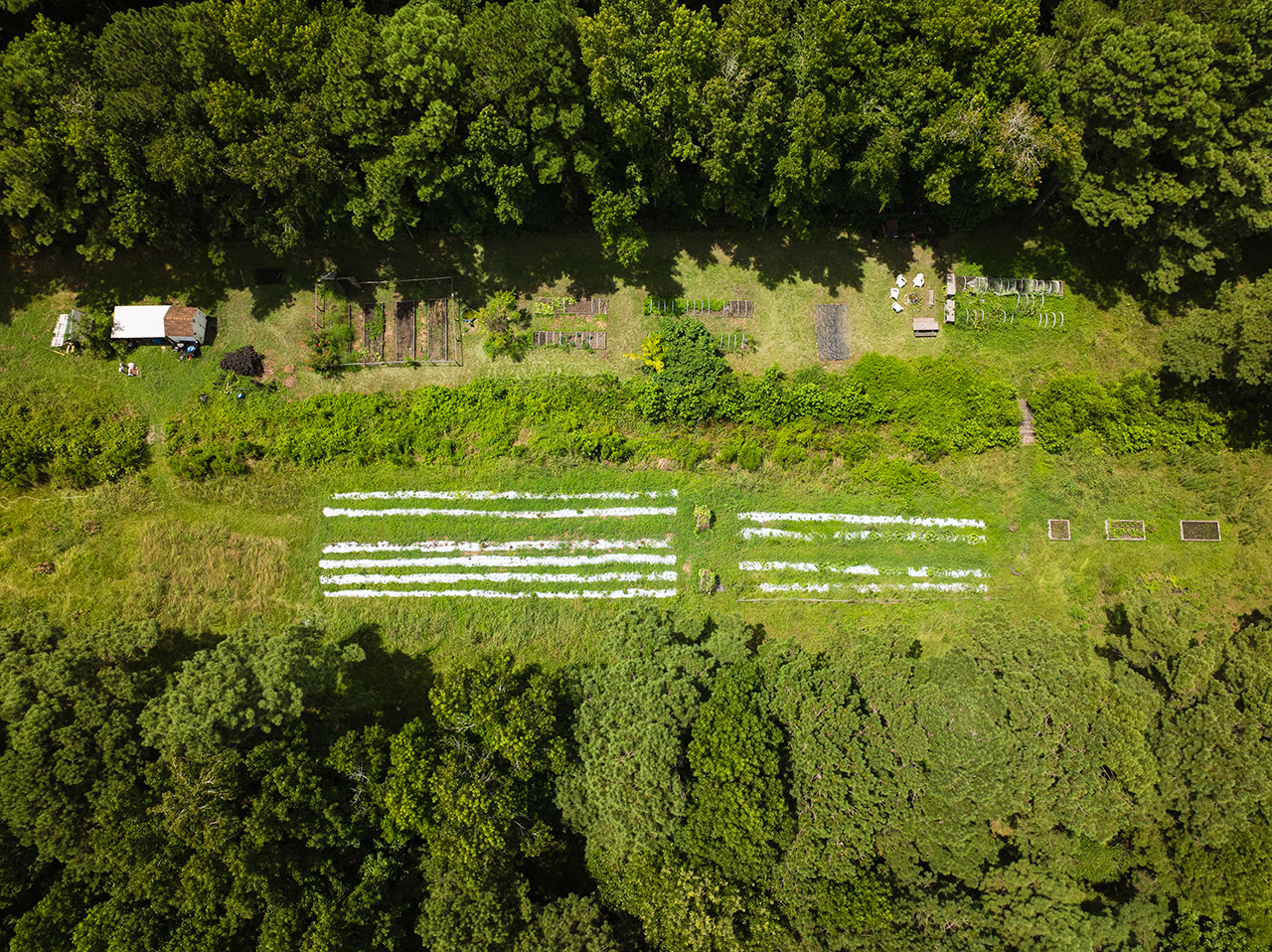 Student garden at Stono Preserve from above.