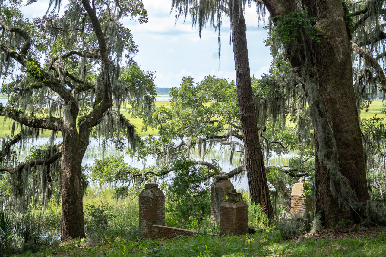 College of Charleston Stono Preserve 