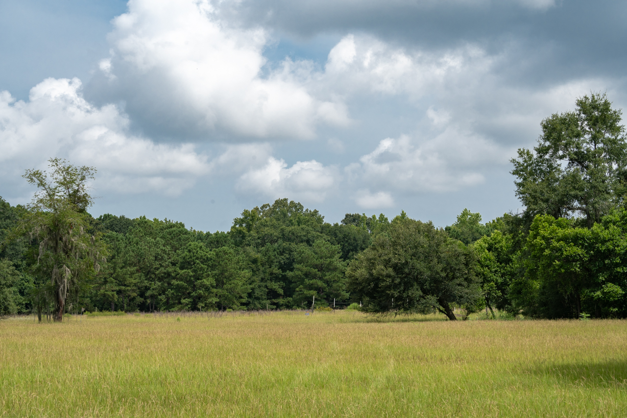 Field at the Stono Preserve