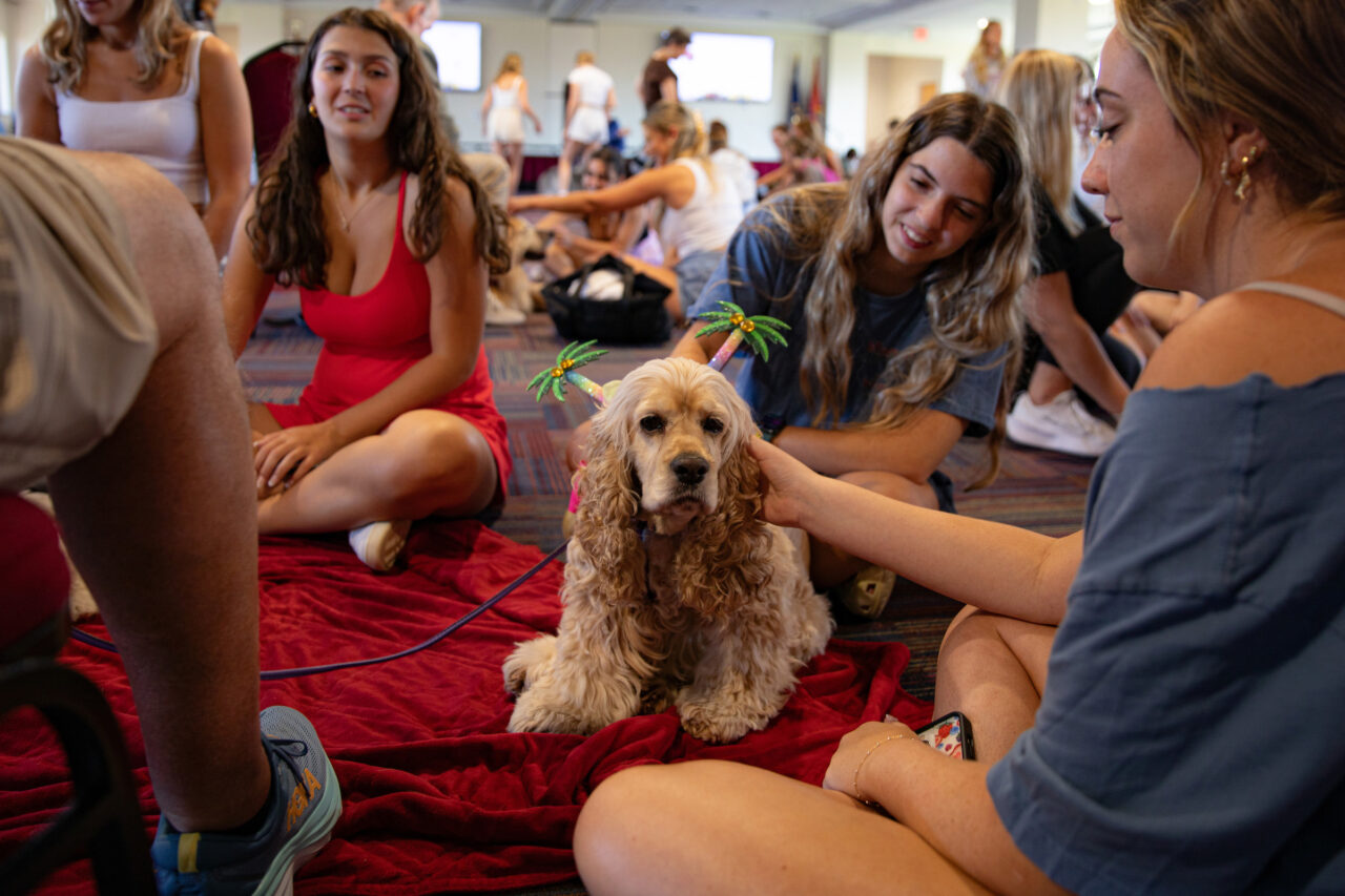 Students pet dog at the dog therapy event put on by Students 4 Support.