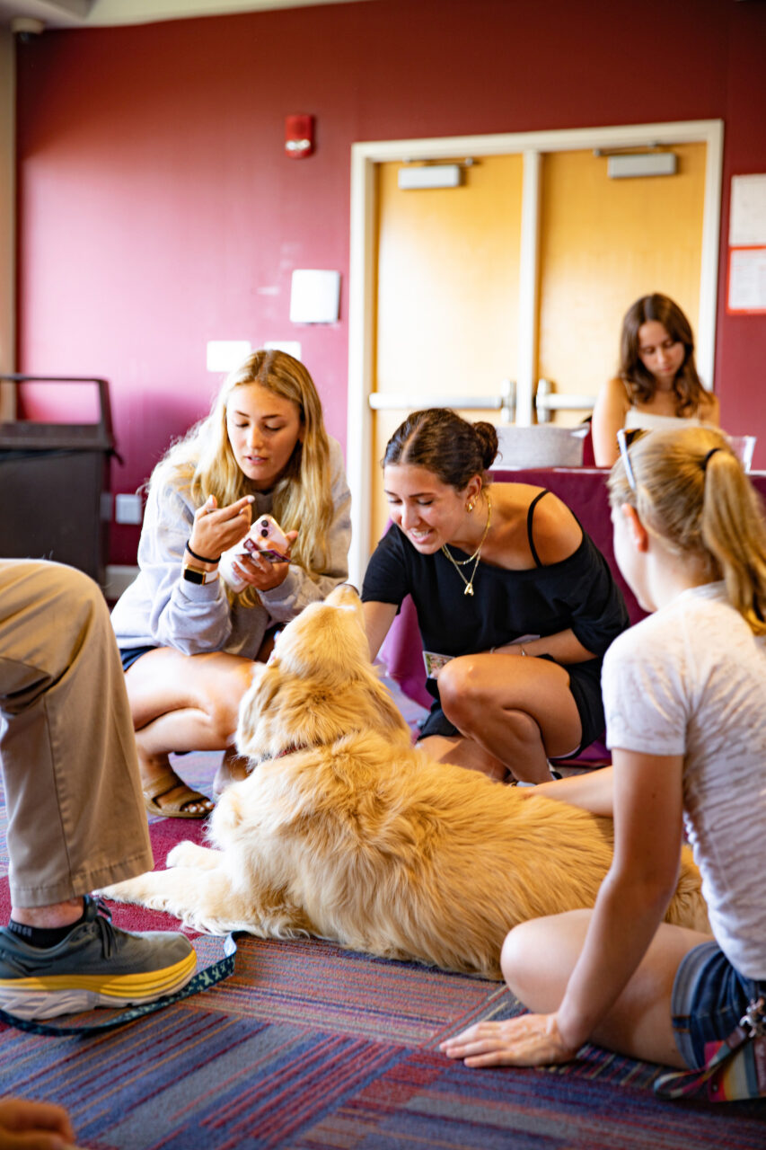 Students pet dog at the dog therapy event put on by Students 4 Support.