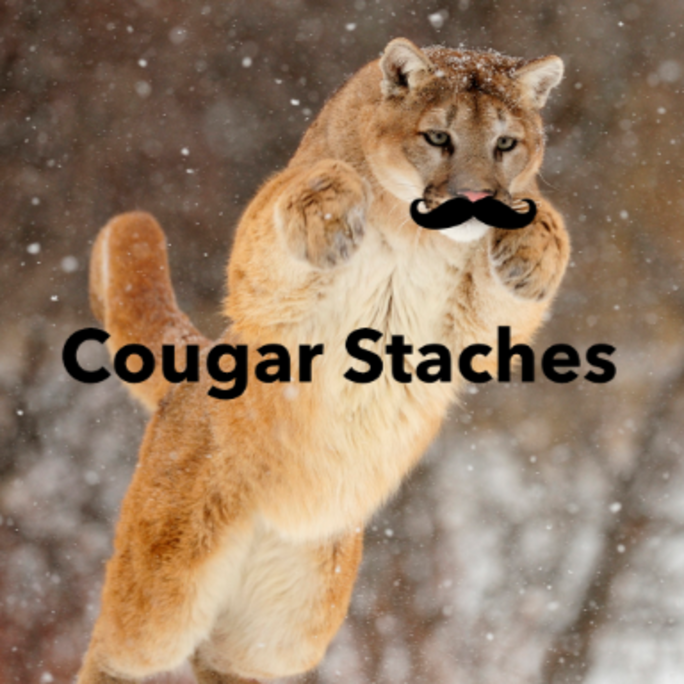 Cougar Staches