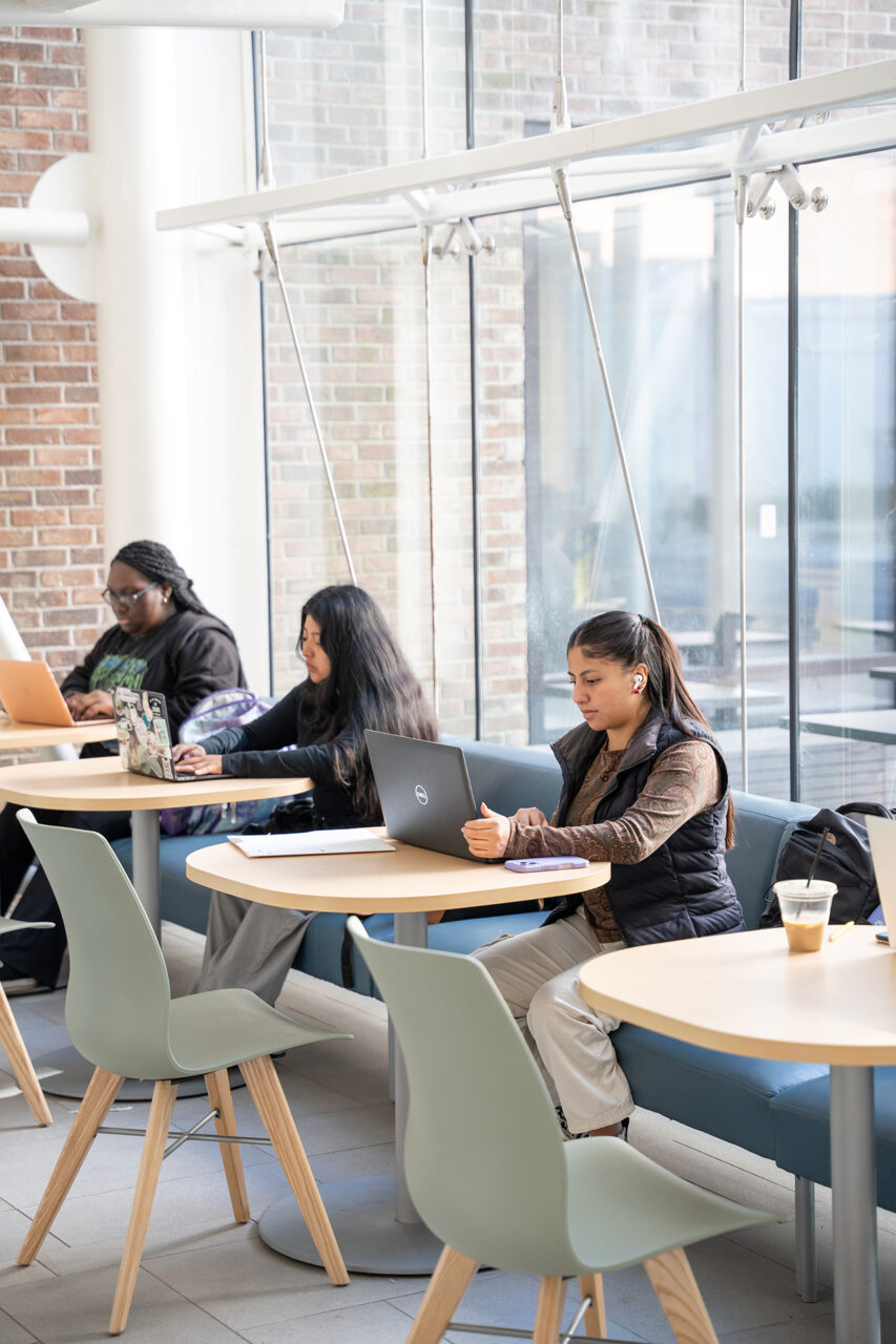 students work on laptops by window