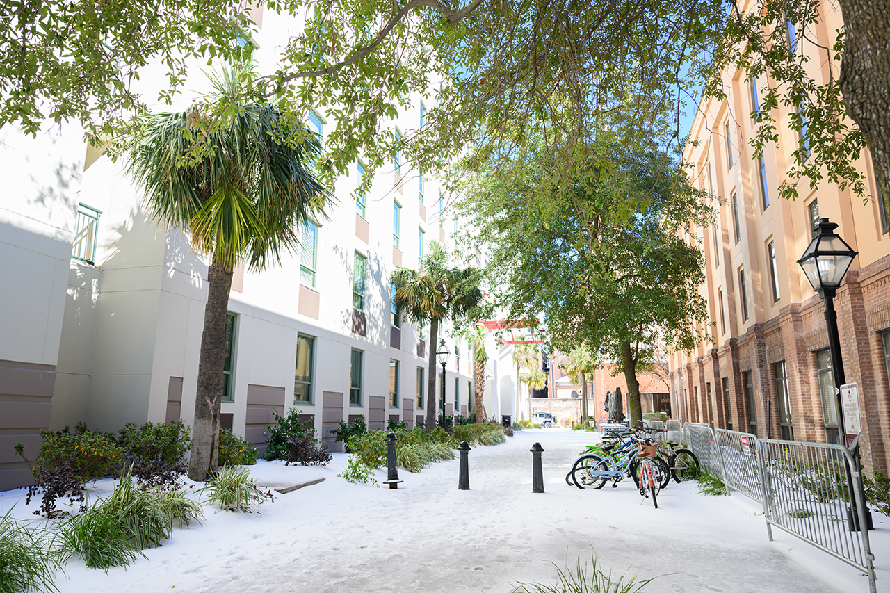 College of Charleston Campus covered in snow 