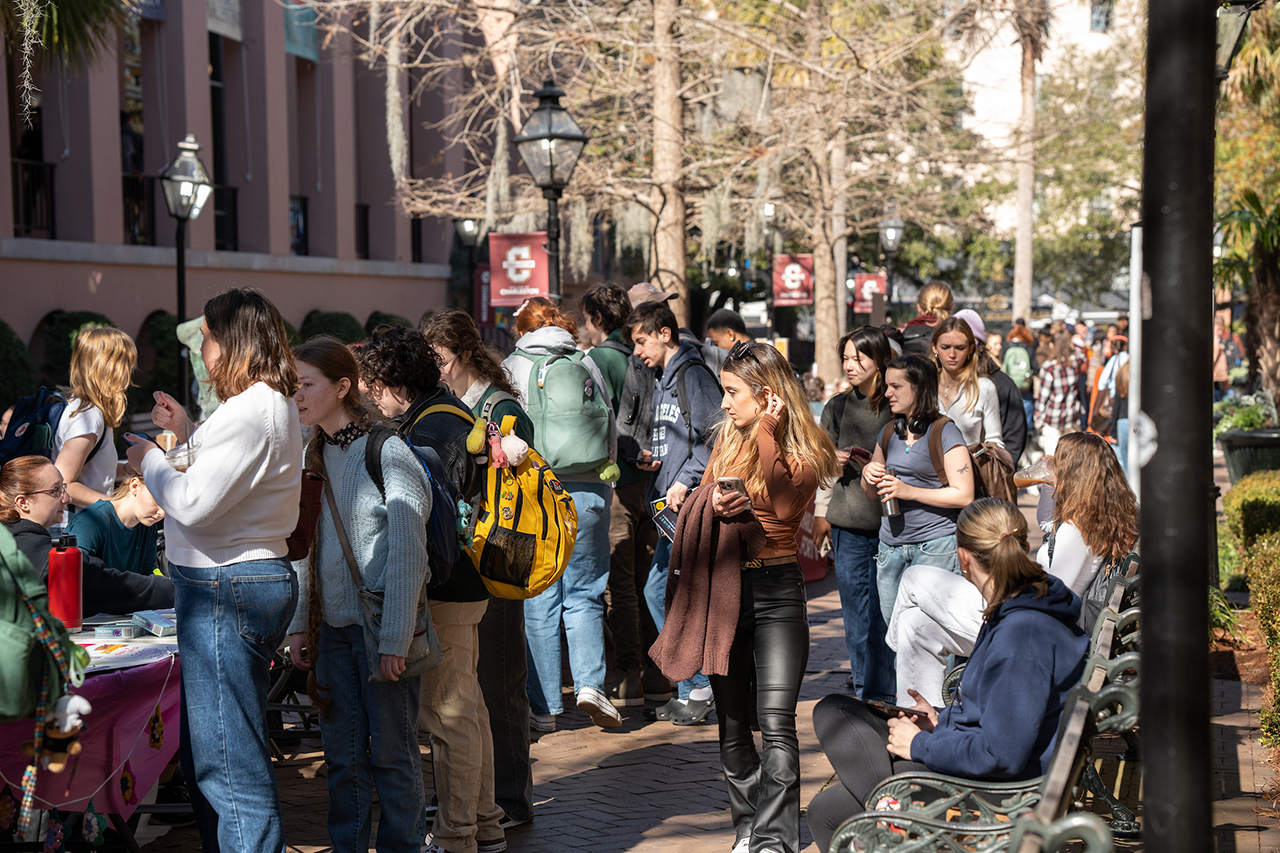 walking through a busy cougar mall