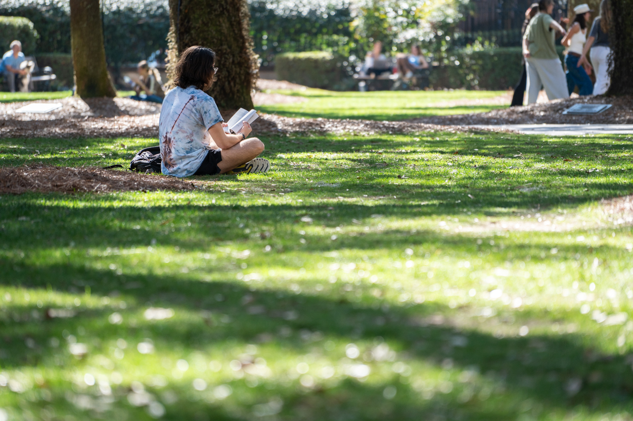 reading in the grass in the Cistern Yard 