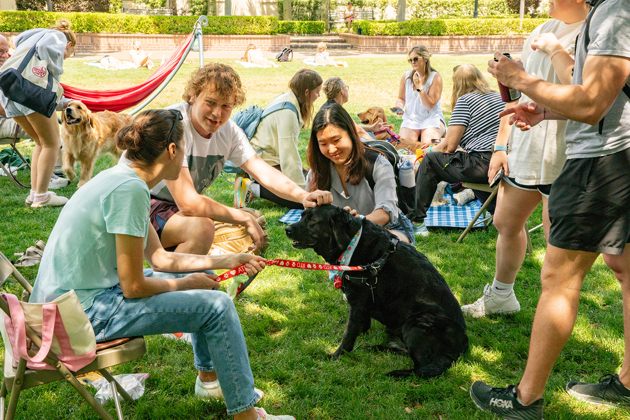 Students attend the Stress Relief Fair in Rivers Green where there are free crafts, food, and therapy dogs.