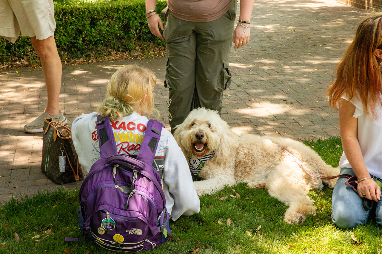 Students attend the Stress Relief Fair in Rivers Green where there are free crafts, food, and therapy dogs.