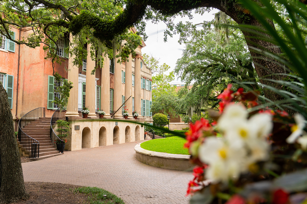 College of Charleston Campus Stock