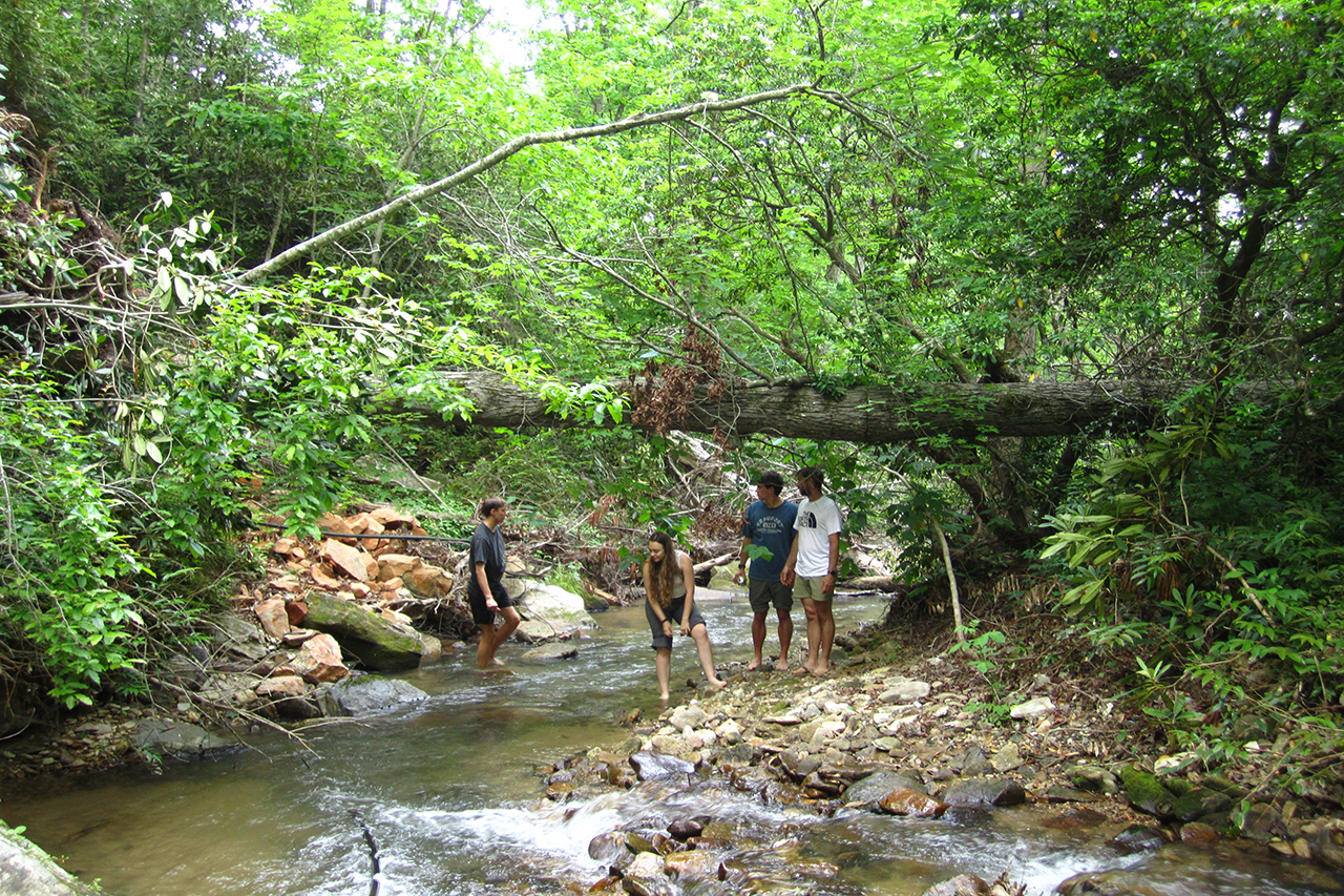 students wading in a mountain stream