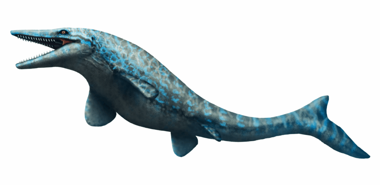 mosasaur