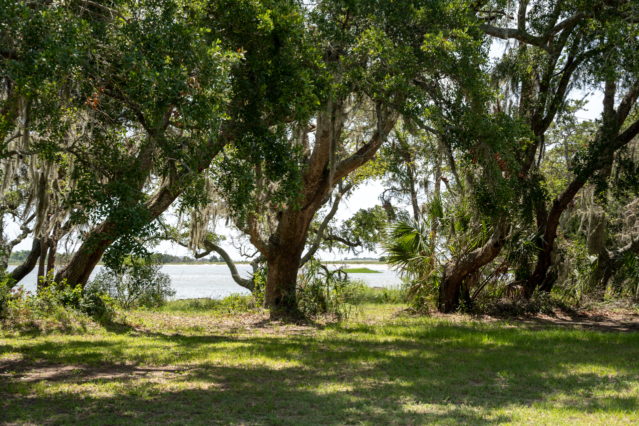 View from Grice Marine Laboratory
