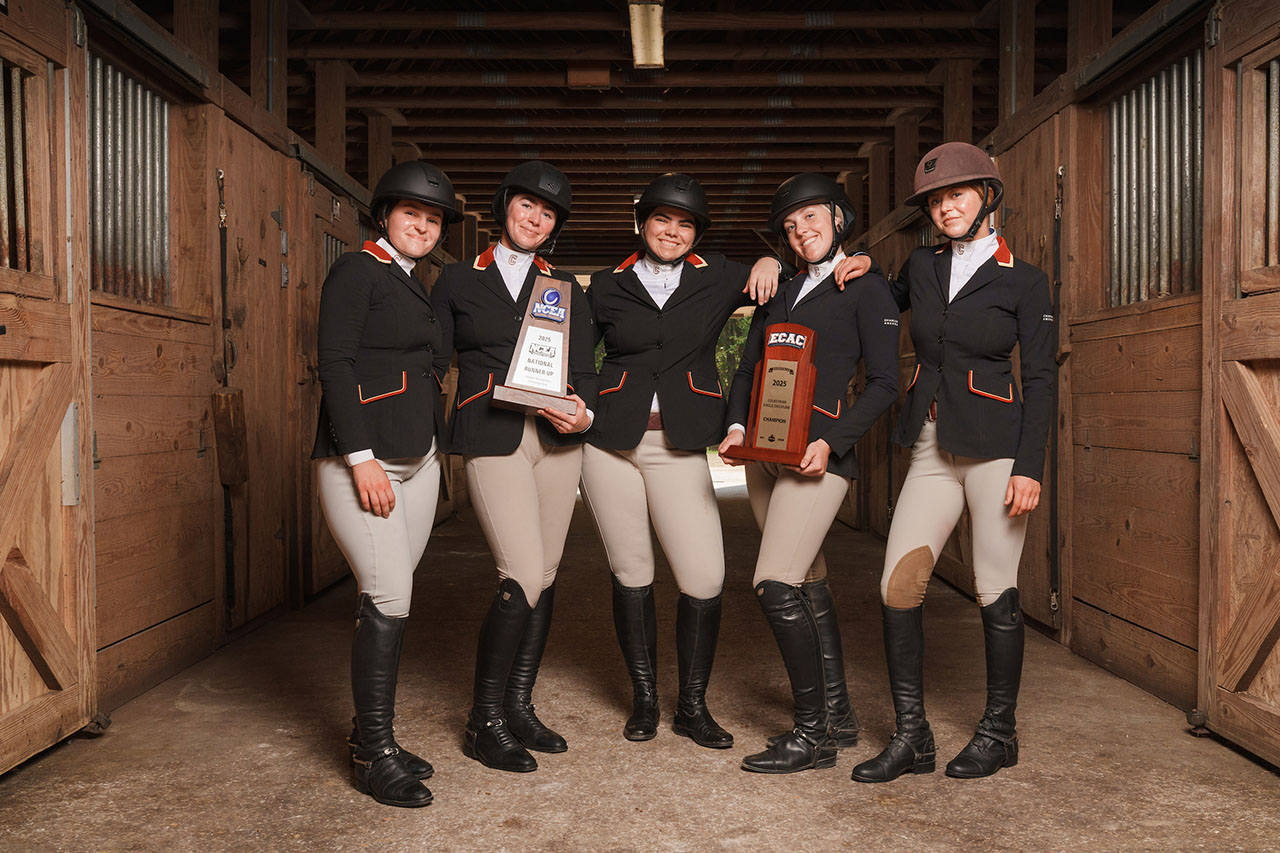 equestrians