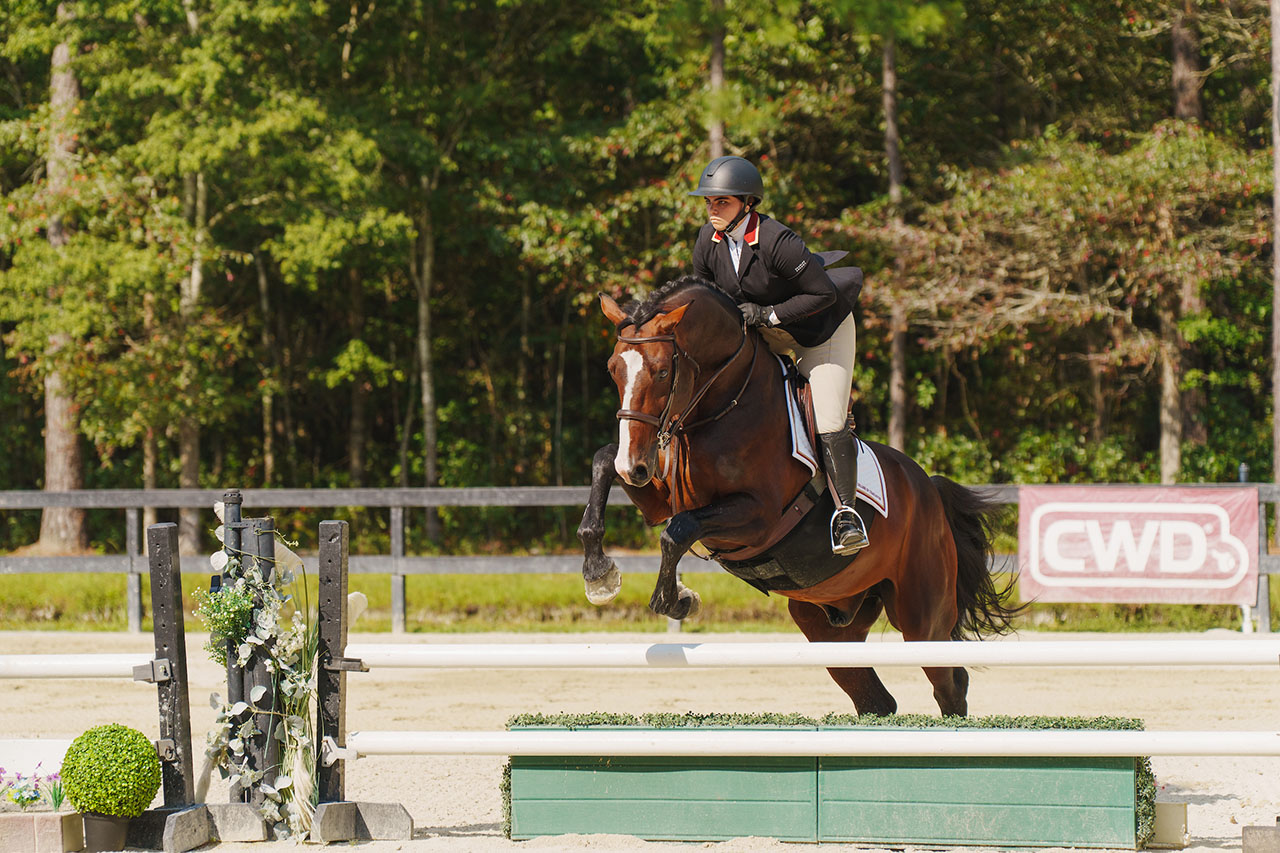 equestrian