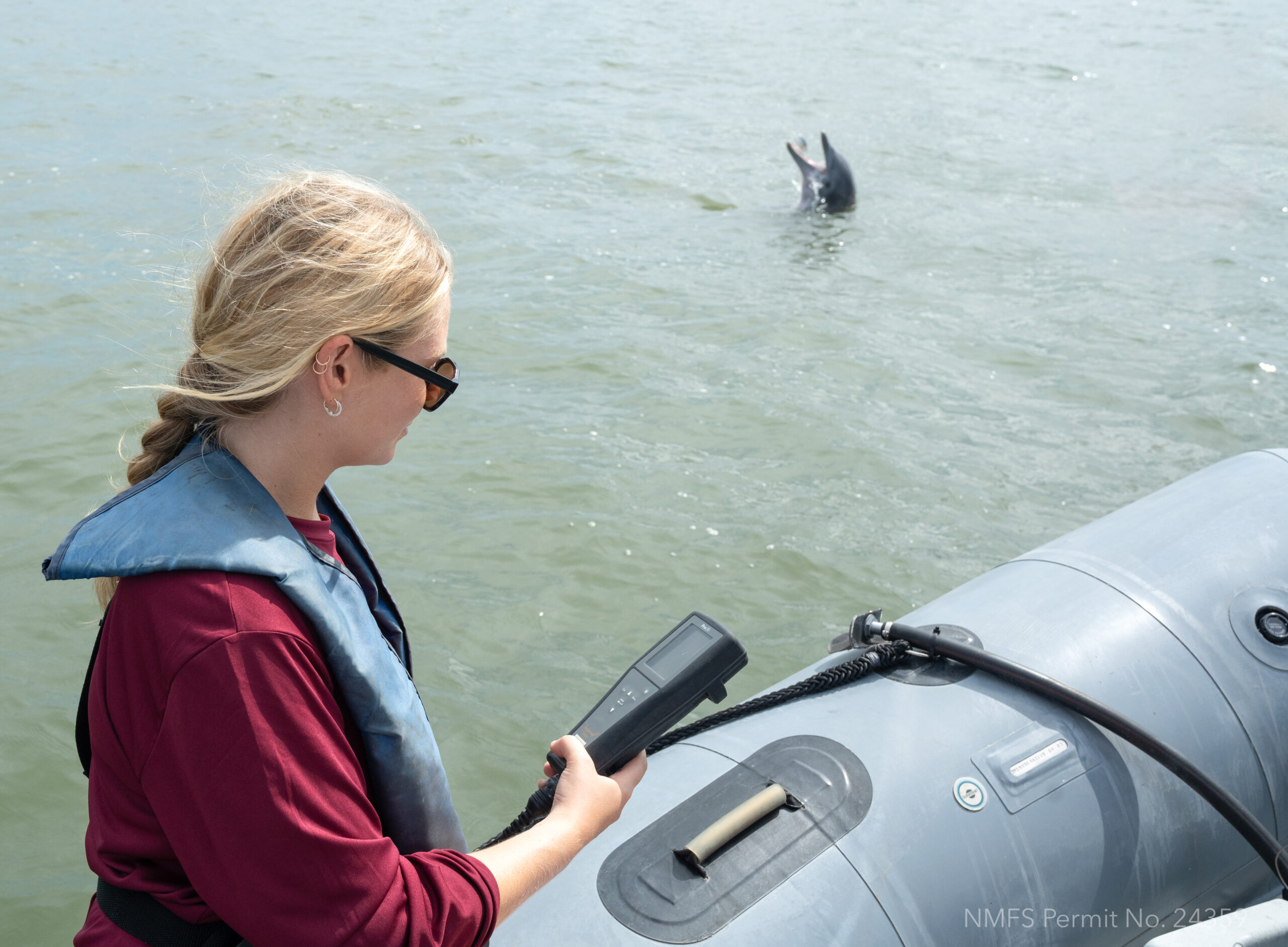 Leslie Hart, College Grad Students and the National Marine Mammal Foundation set out on the Charleston Harbor to research Dolphins. Permit No. 24359