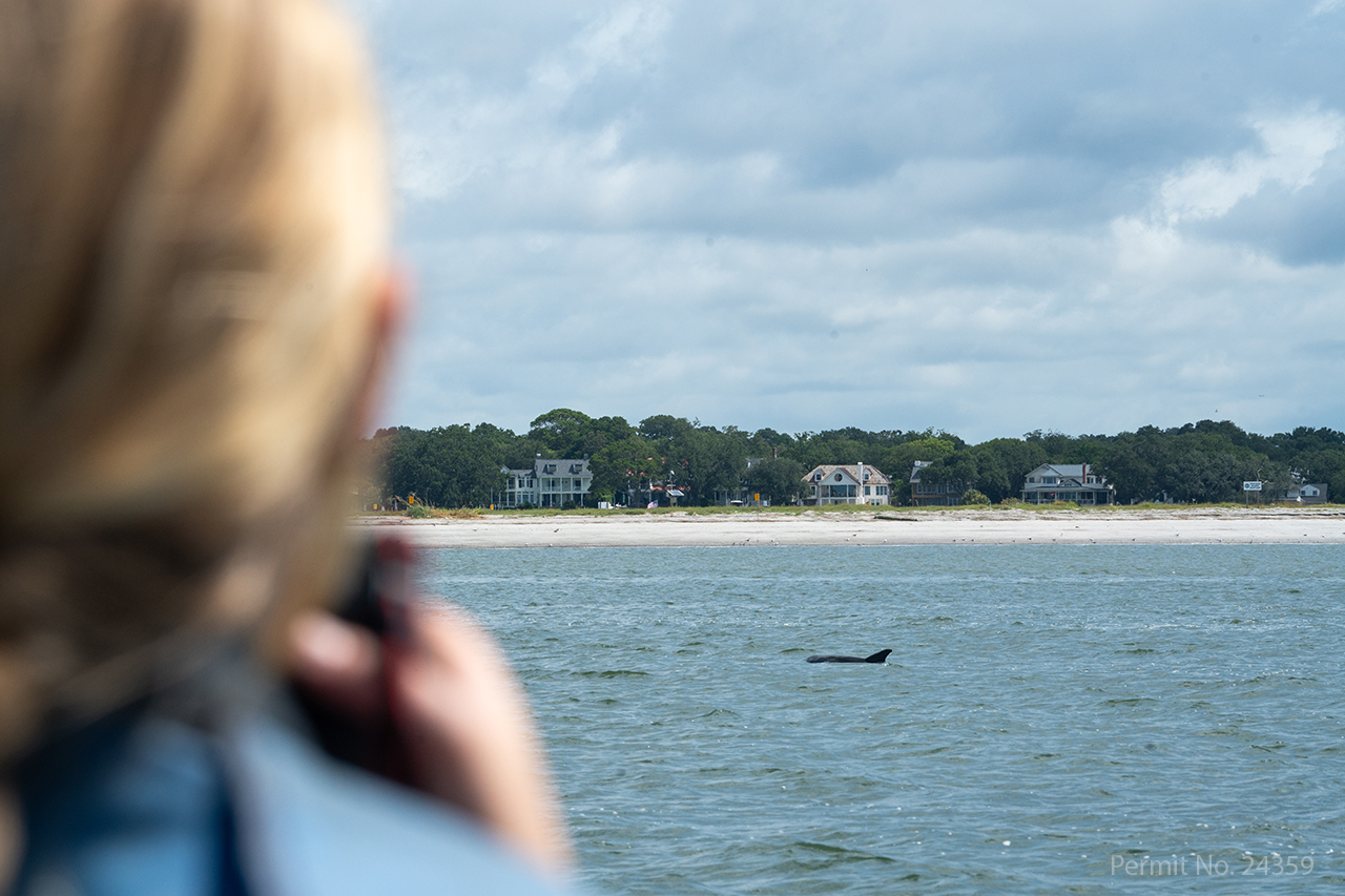 Leslie Hart, College Grad Students and the National Marine Mammal Foundation set out on the Charleston Harbor to research Dolphins. Permit No. 24359