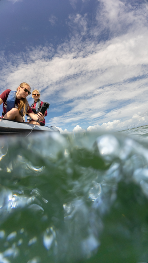 Leslie Hart, College Grad Students and the National Marine Mammal Foundation set out on the Charleston Harbor to research Dolphins. Permit No. 24359
