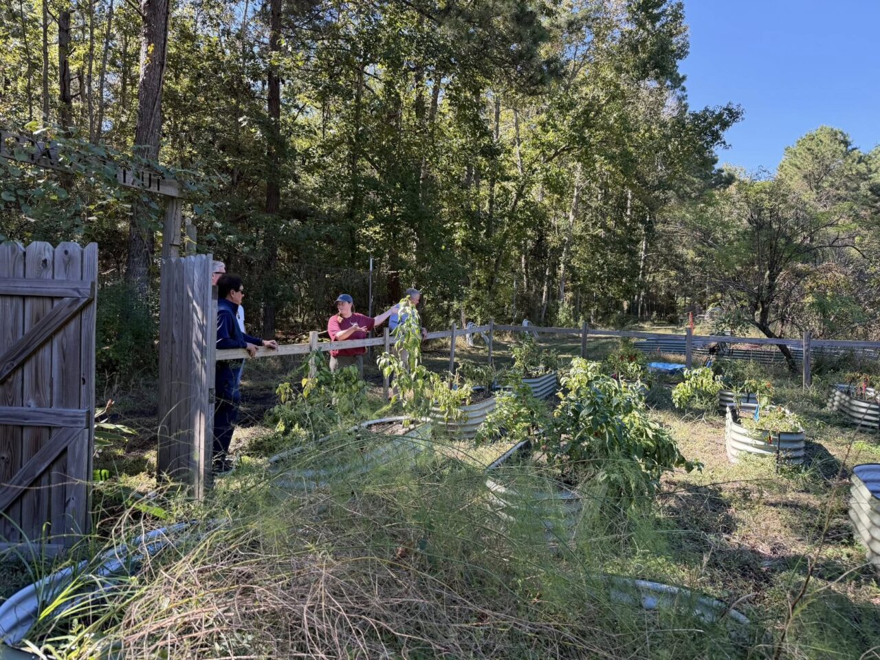 College of Charleston Board of Trustees members joined the Environmental and Sustainability Studies Program at Stono Preserve Student Garden for an immersive beekeeping experience! They suited up, stepped out of their comfort zones, and learned all about hive management, the College’s Sustainable Agriculture Program, and the incredible impact this work has on our students and community.