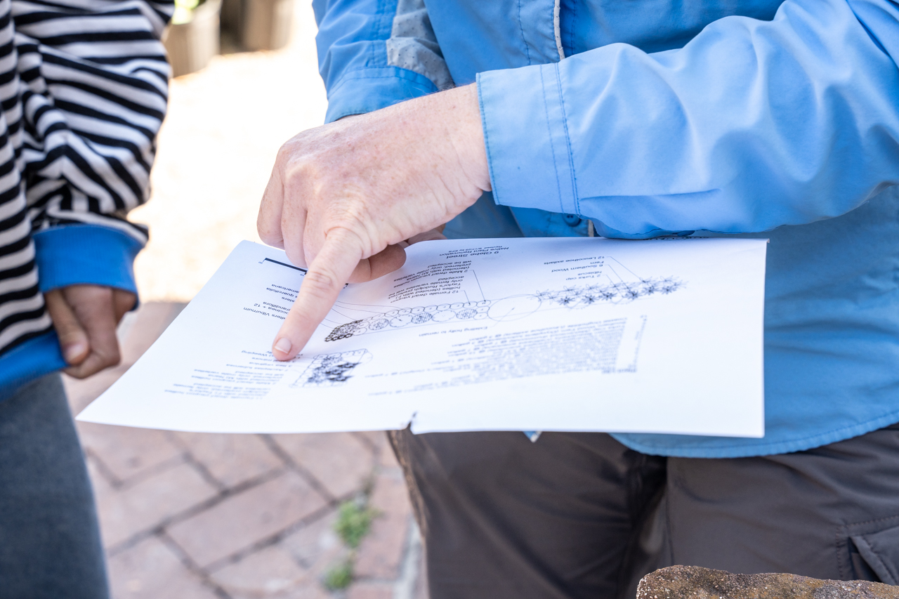 Students and Professors come together to plant native plants in an urban garden on Glebe Street