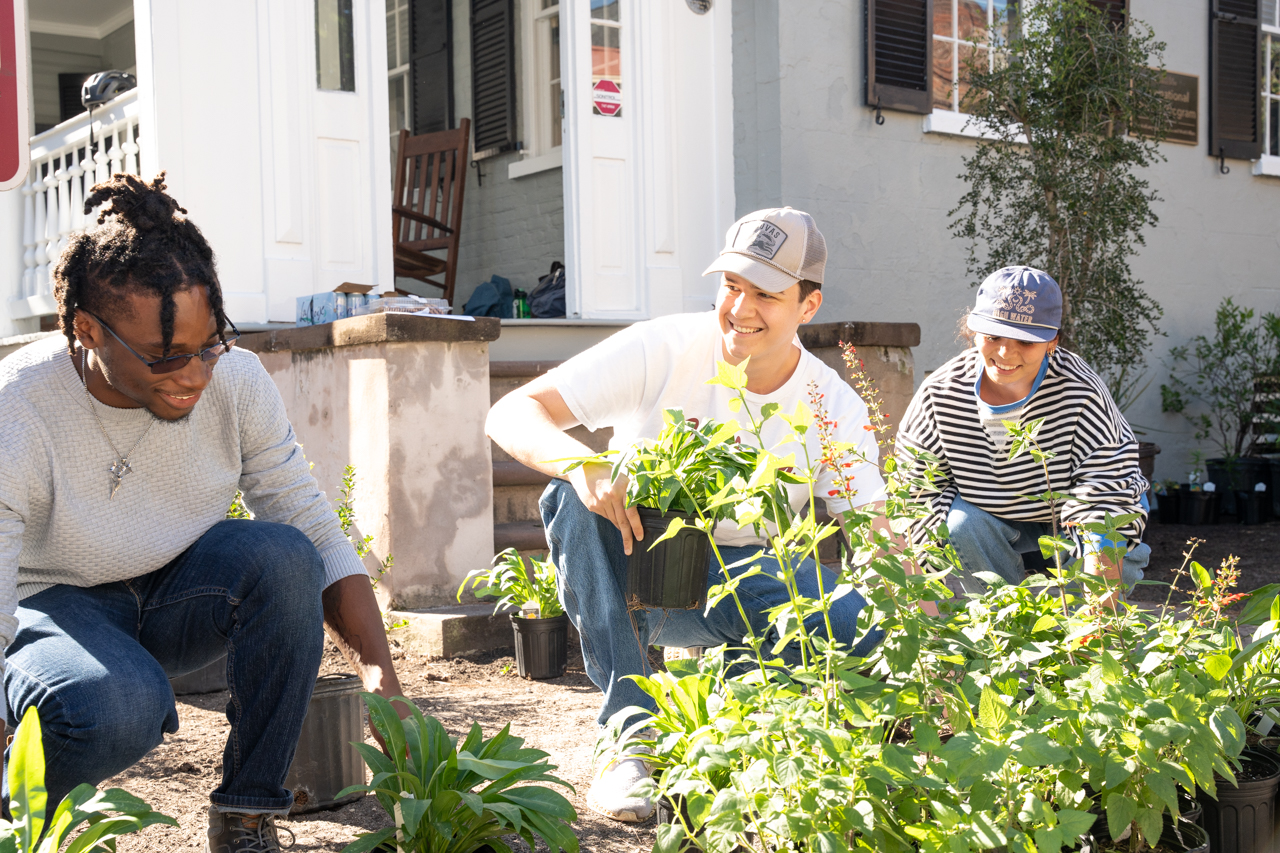Students and Professors come together to plant native plants in an urban garden on Glebe Street