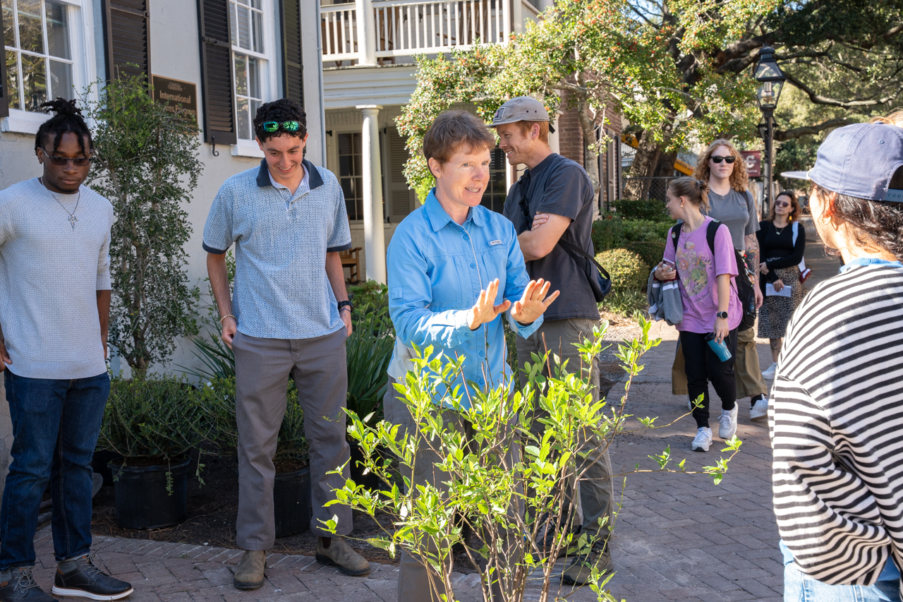Students and Professors come together to plant native plants in an urban garden on Glebe Street