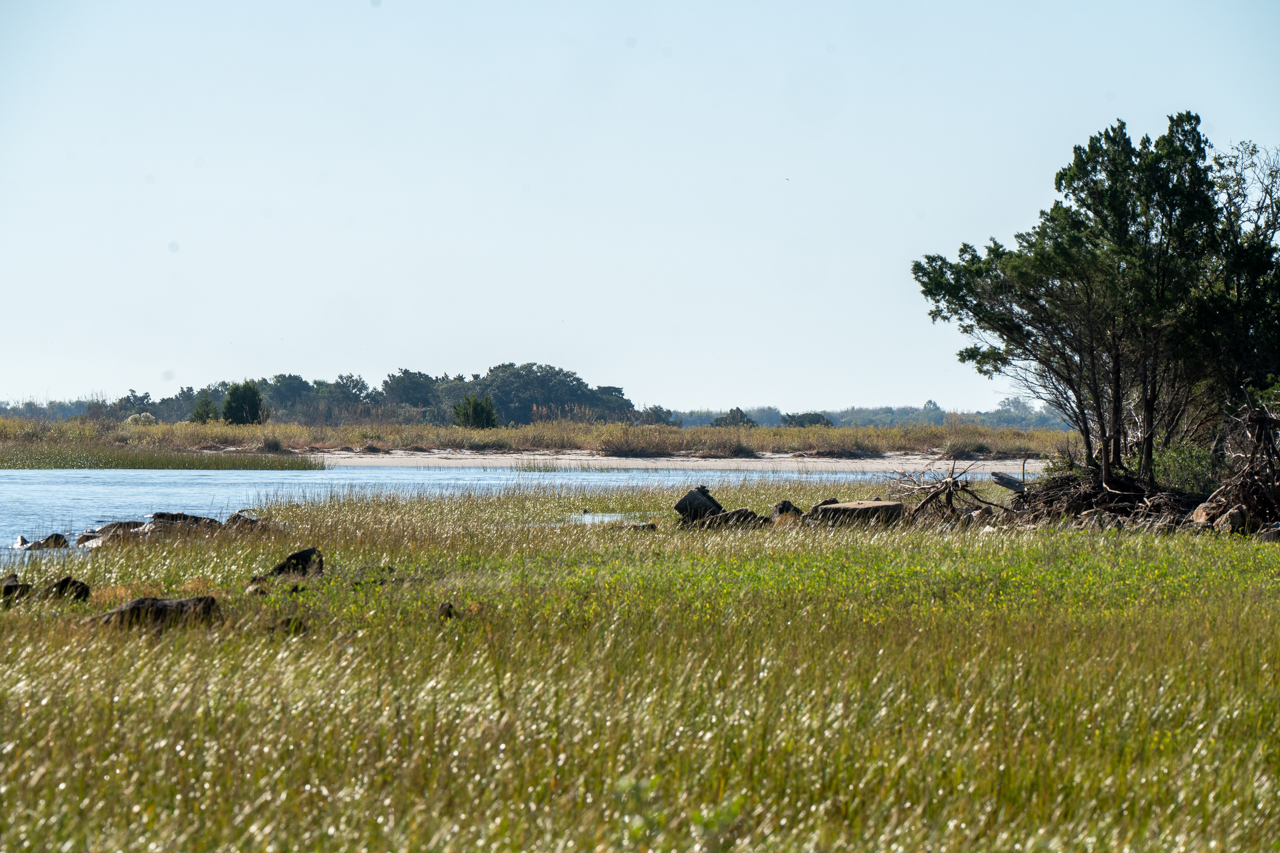 College of Charleston's Paddleboard Class in Charleston Harbor