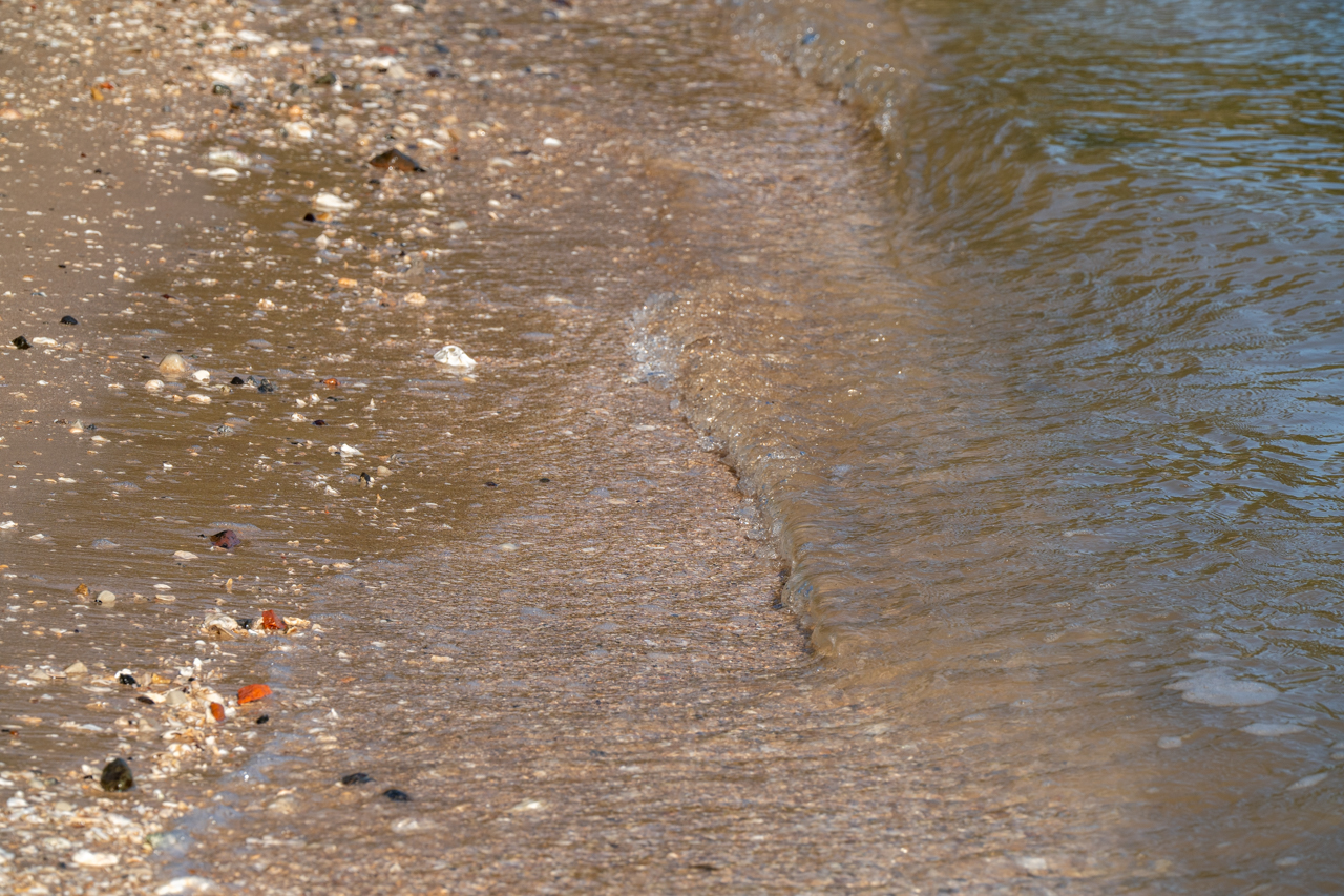 College of Charleston's Paddleboard Class in Charleston Harbor