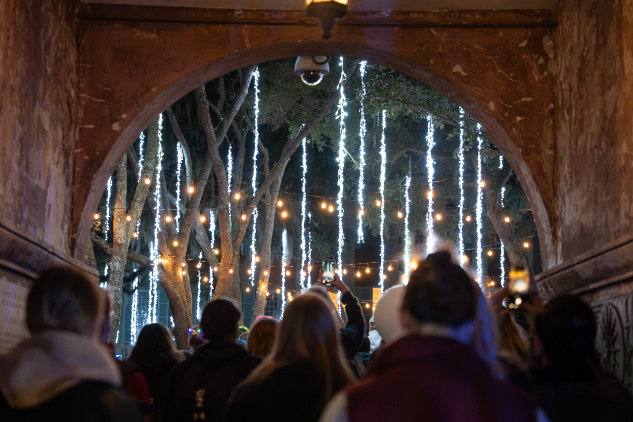 It's time to celebrate being a cougar