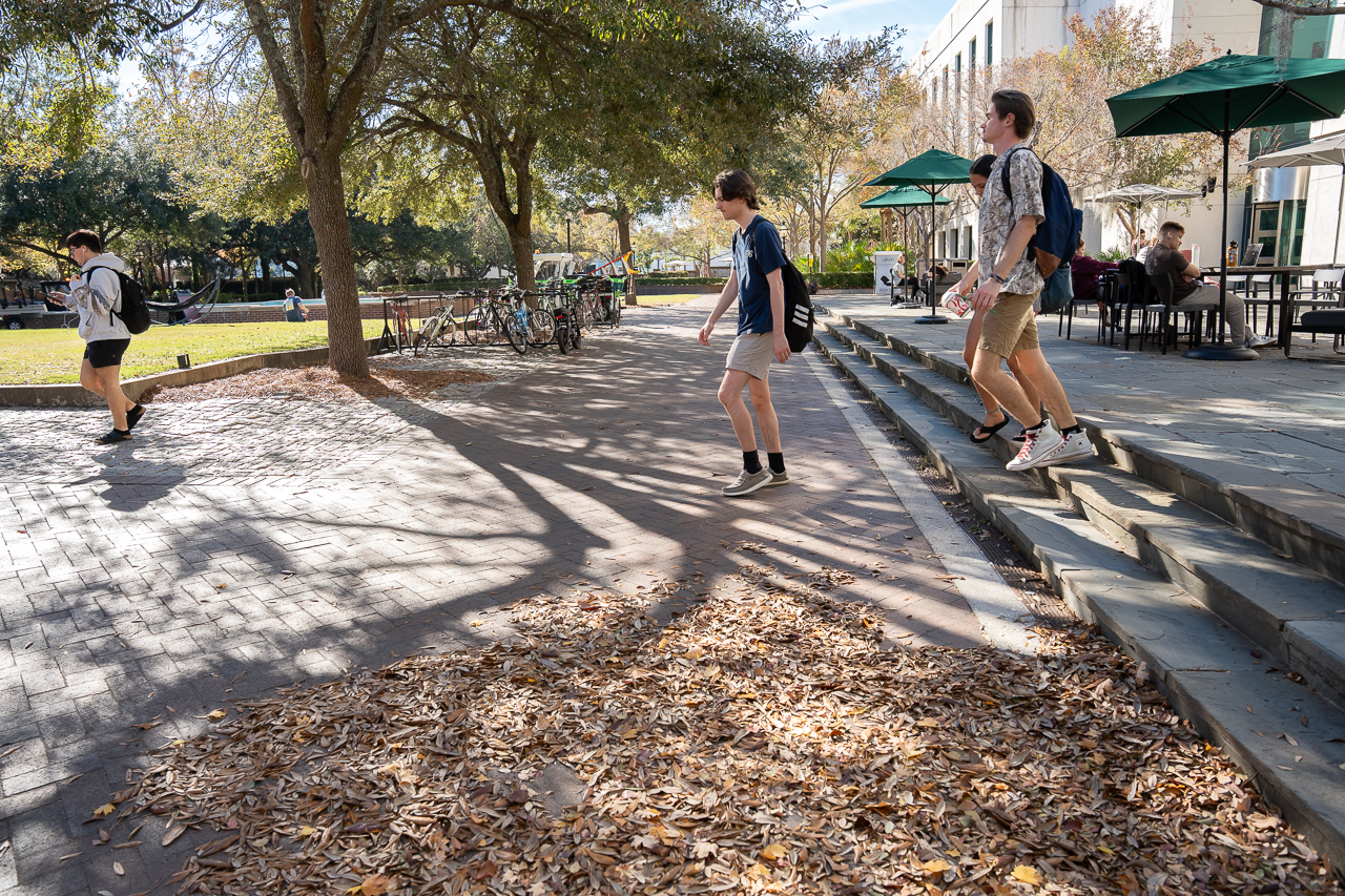 walking by the fall leaves on campus