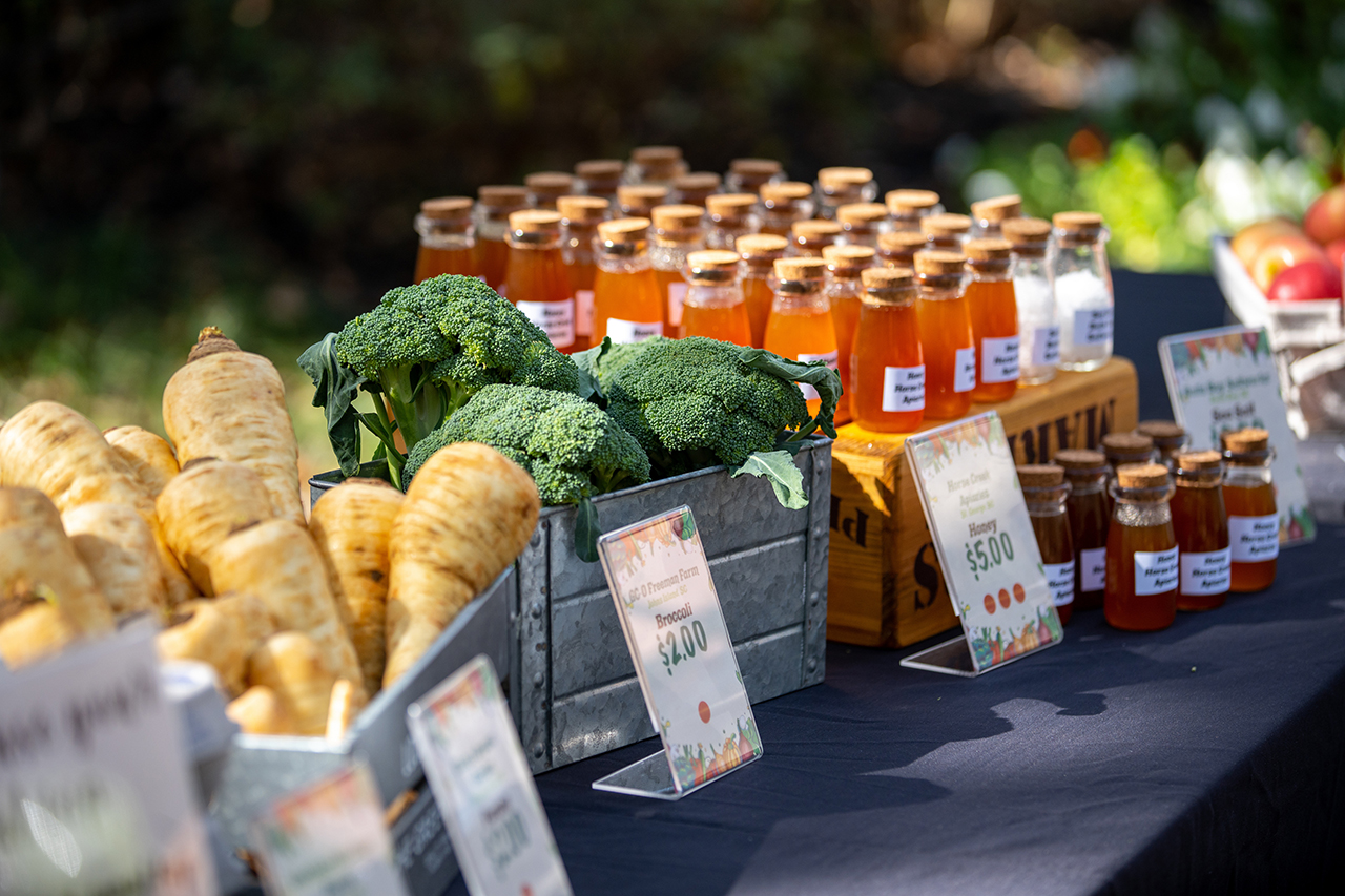 table with vegetables and potions