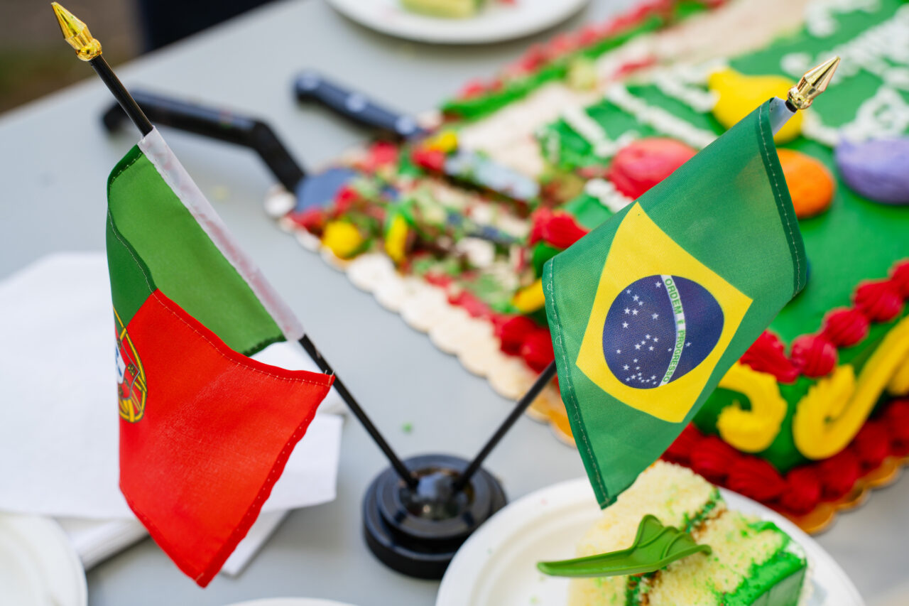 brazilian flag