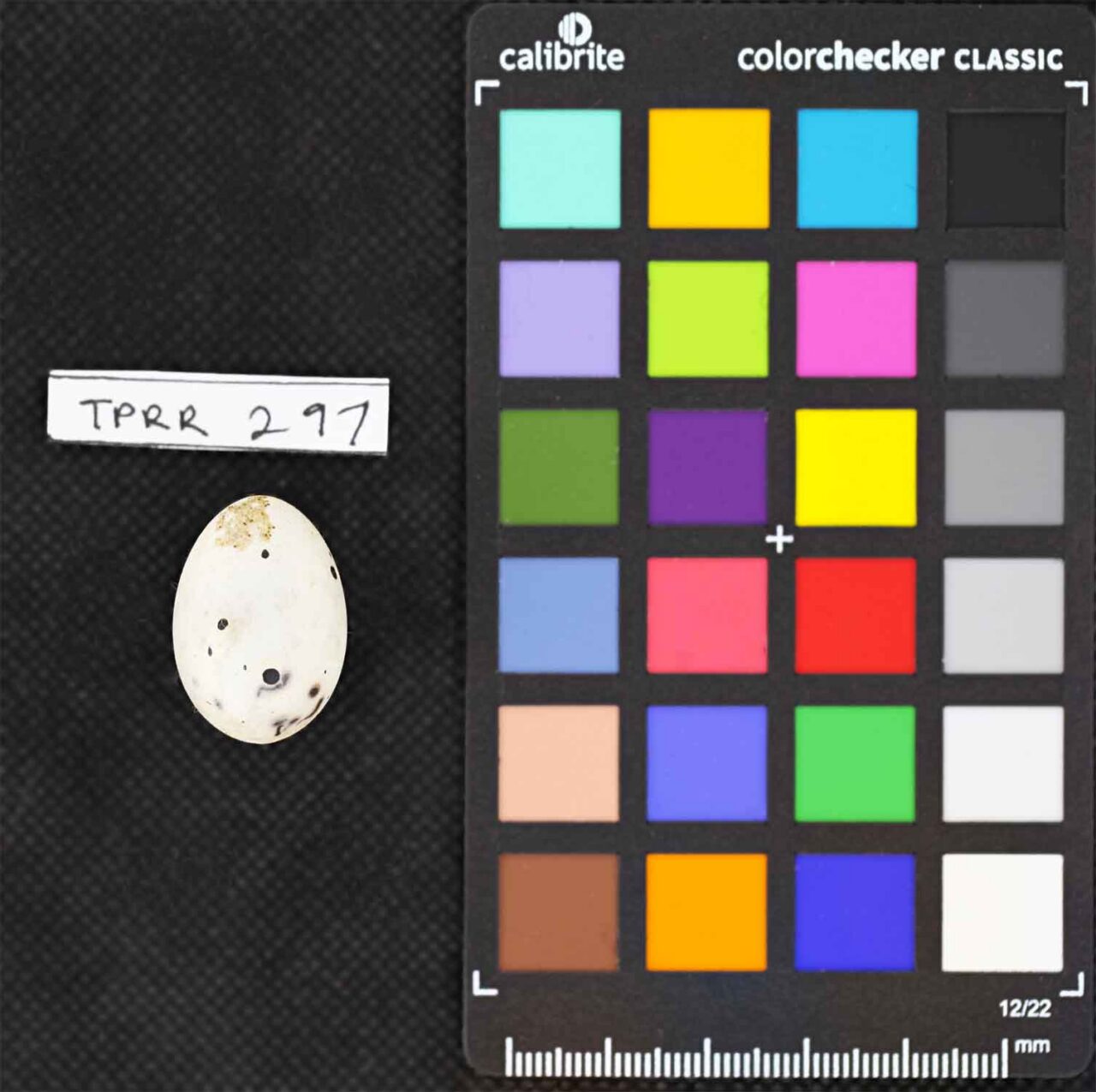 egg color checker