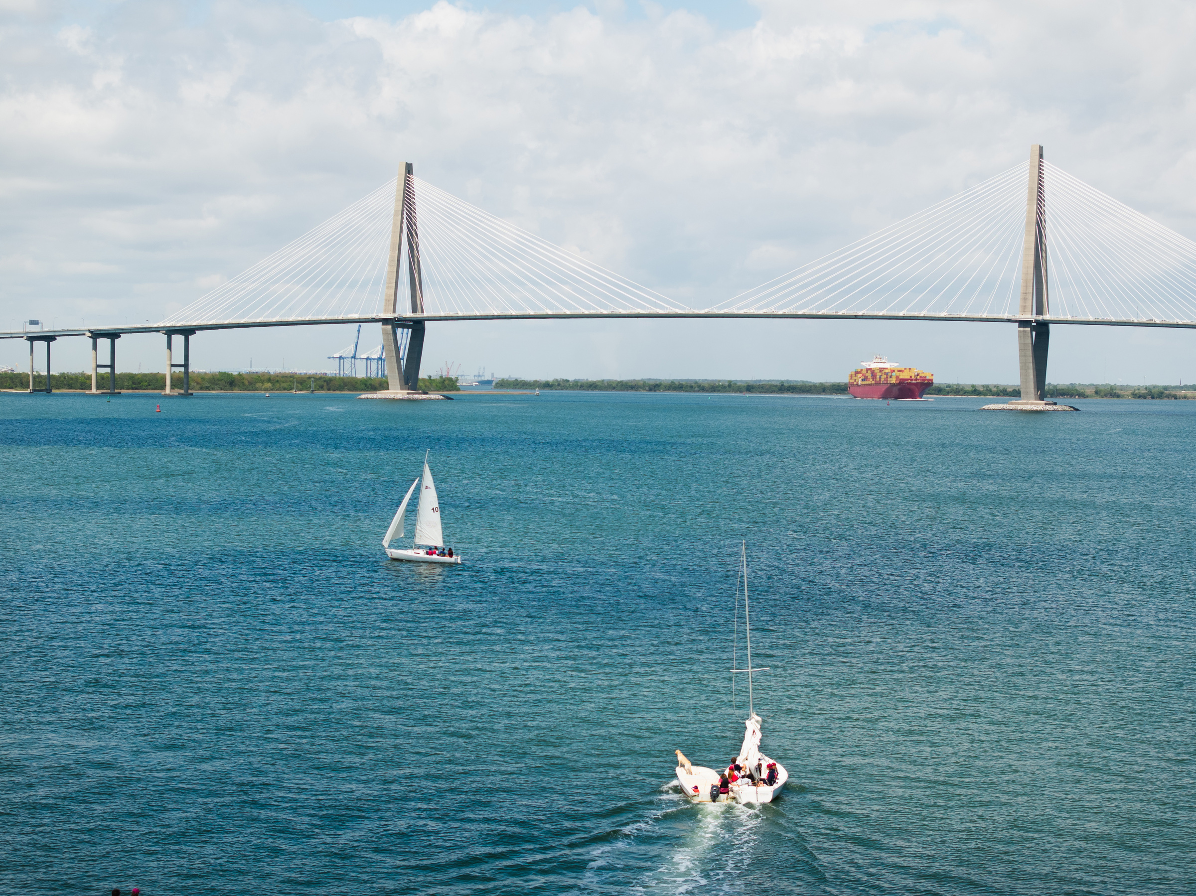 drone shot of college of Charleston sailboats in Charleston harbor
