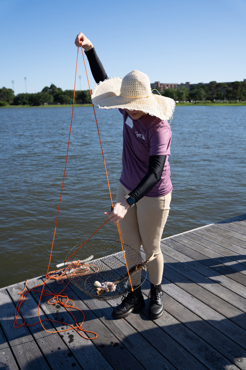 A person on a wooden dock holds an orange rope attached to a mesh basket containing small aquatic creatures, with a wide-brimmed hat and purple shirt, overlooking calm water under a clear blue sky.