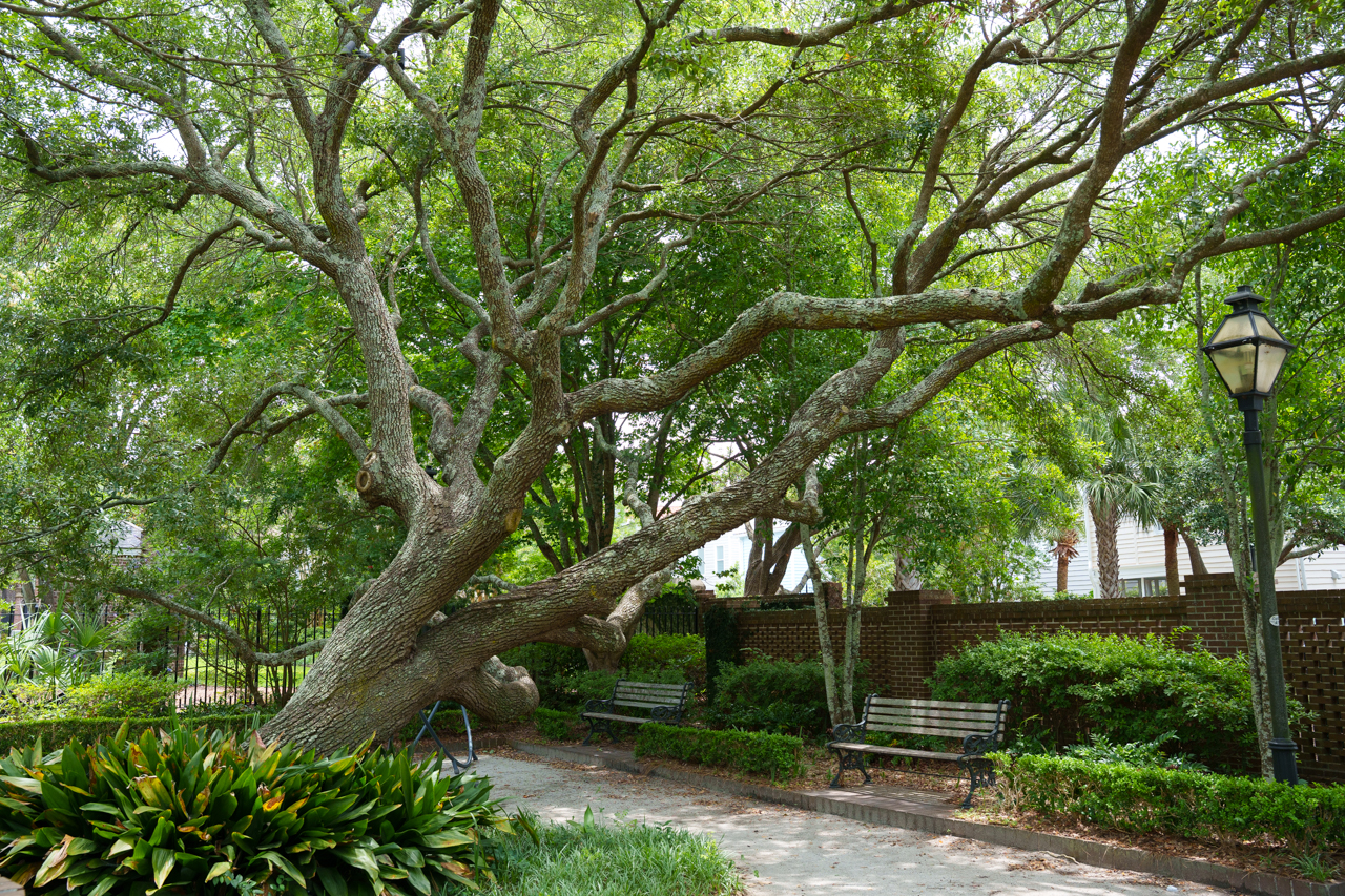 peaceful scene in Rivers Green