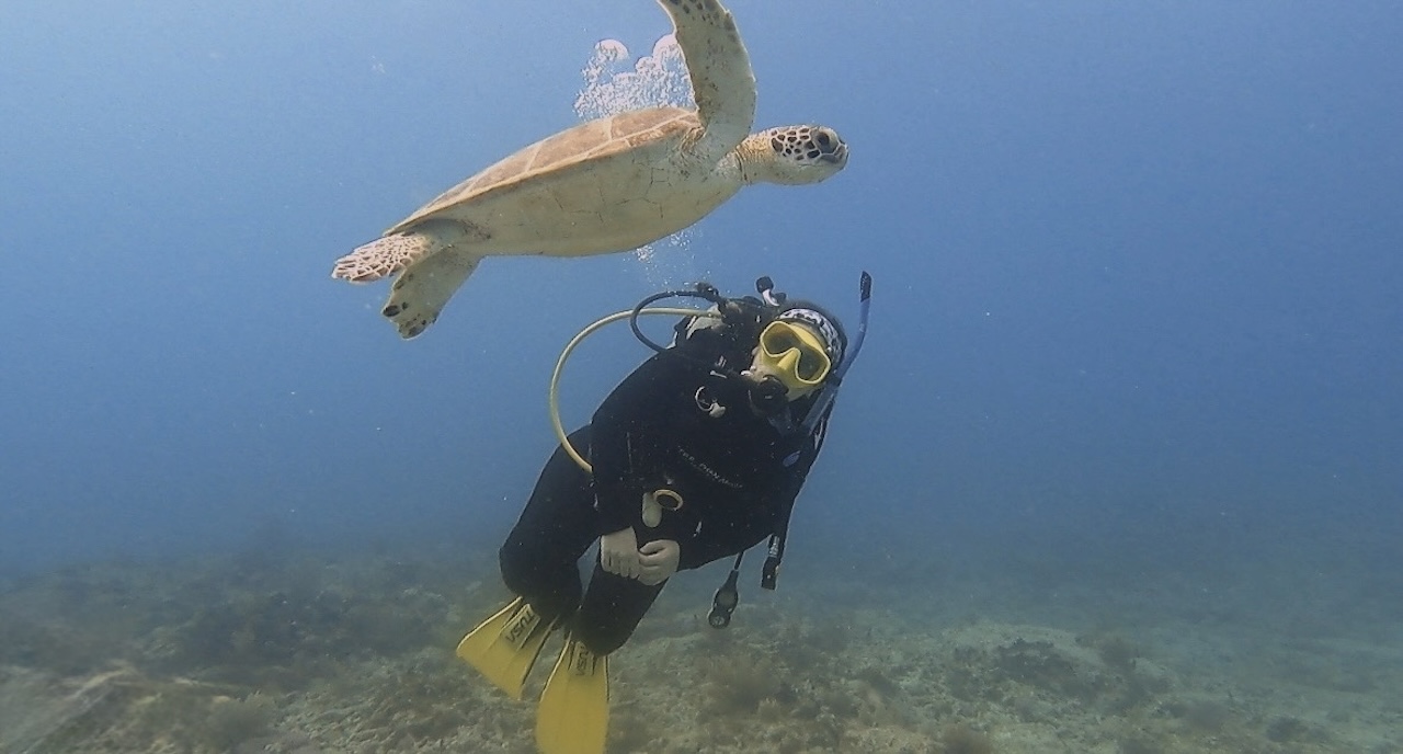 Alli Fransblow in Key Largo, Florida