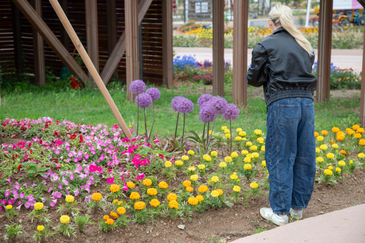 student photographing colorful flowers