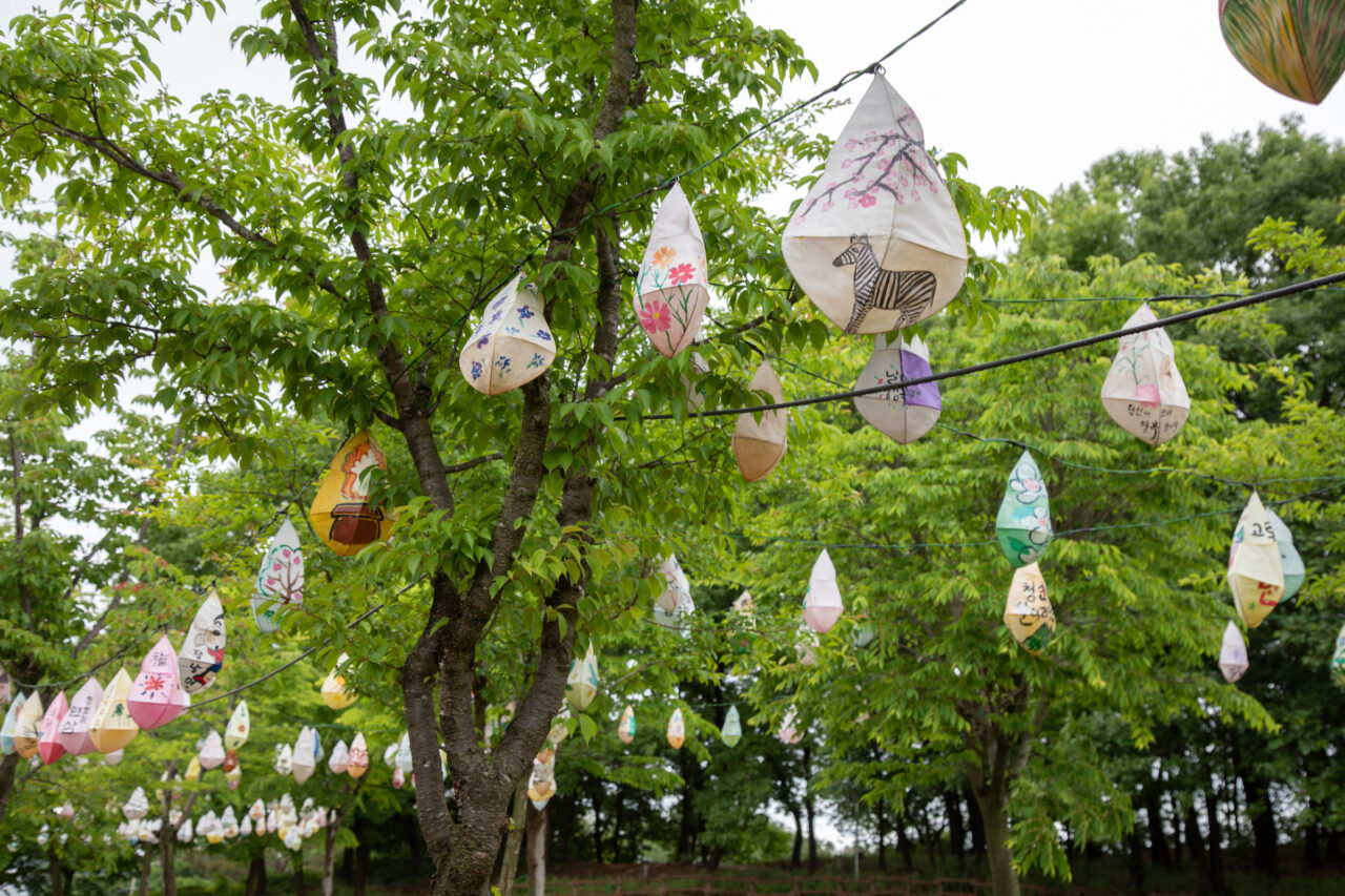 asian lanterns hanging in park