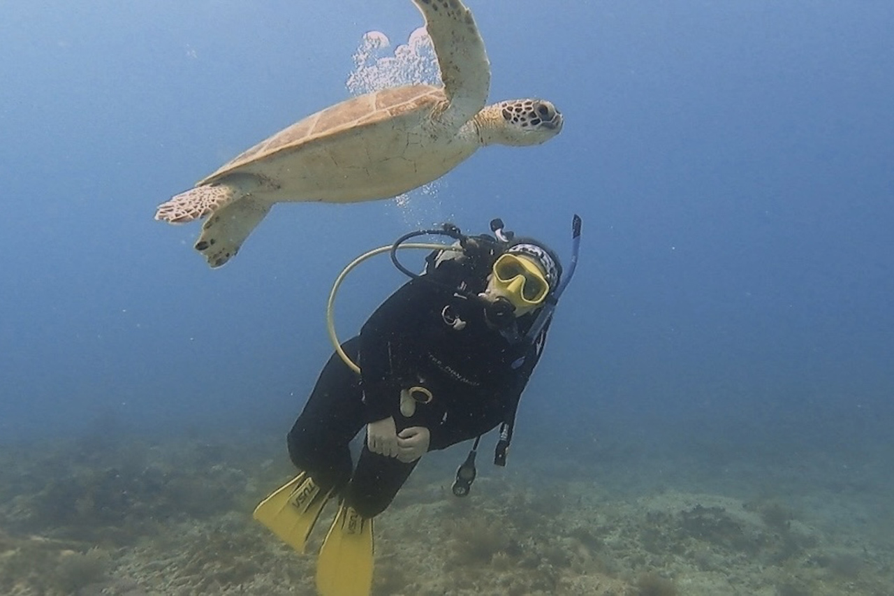 Alli Fransblow swimming with turtle