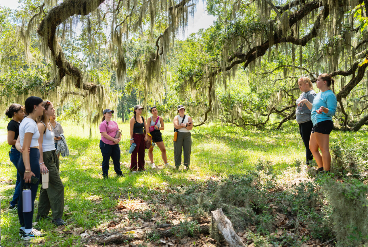 A group of people gathers in a sun-dappled forest under large trees draped with hanging moss, attentively listening to a guide.