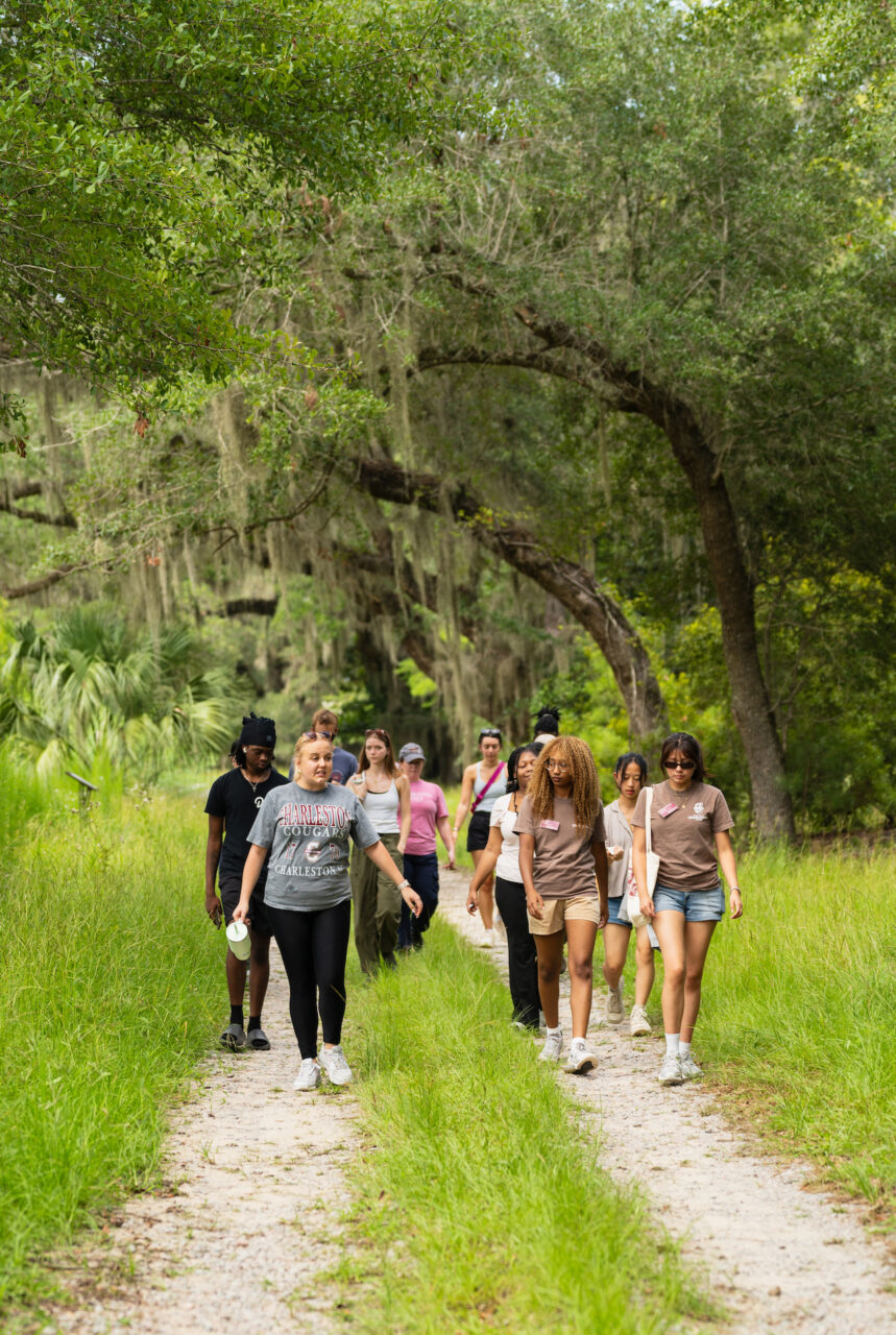 A group of people walks along a gravel path through a lush, tree-lined area with hanging moss.