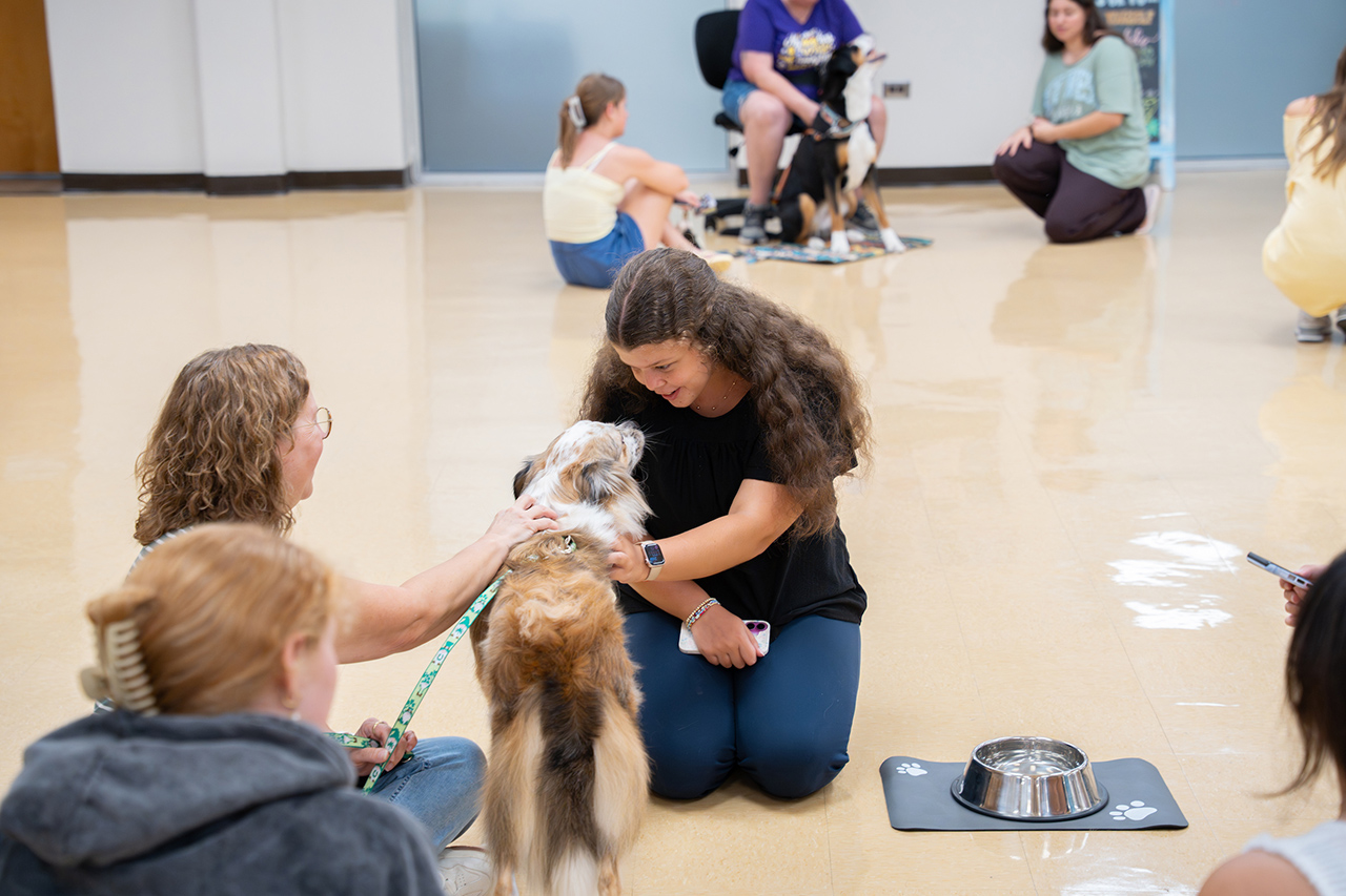 A group of people are interacting with dogs in a spacious indoor setting, with one person gently holding a small dog while others observe or participate.