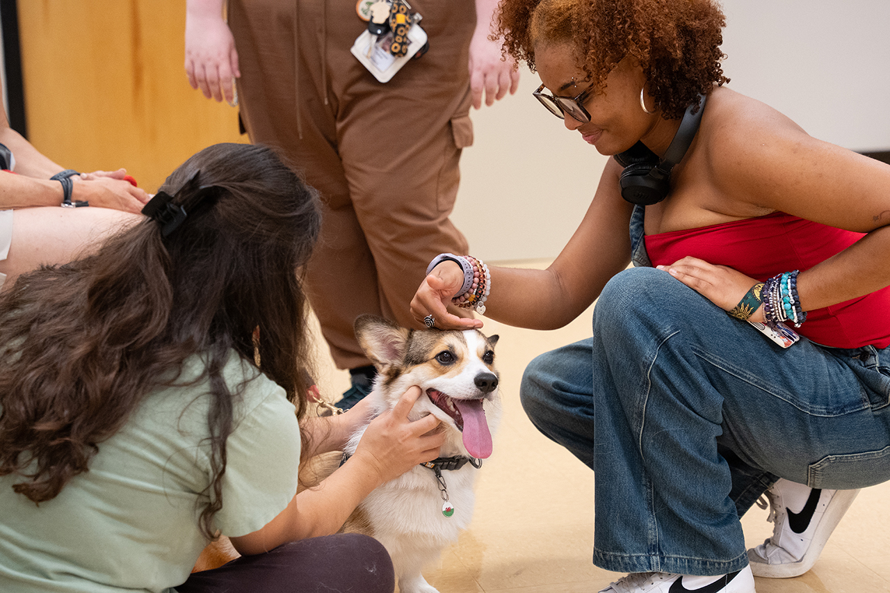 Two individuals are gently petting a happy corgi puppy while crouching on a tiled floor.