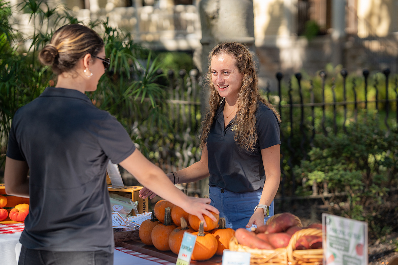 Two individuals interact at an outdoor market stall, where one person selects a pumpkin from a display alongside sweet potatoes and other produce.