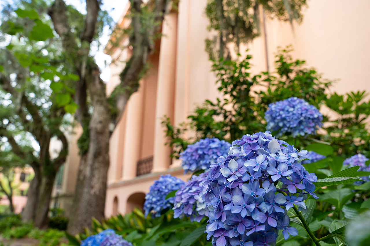 2021.06.08.Flowers.Campus.CML.0008